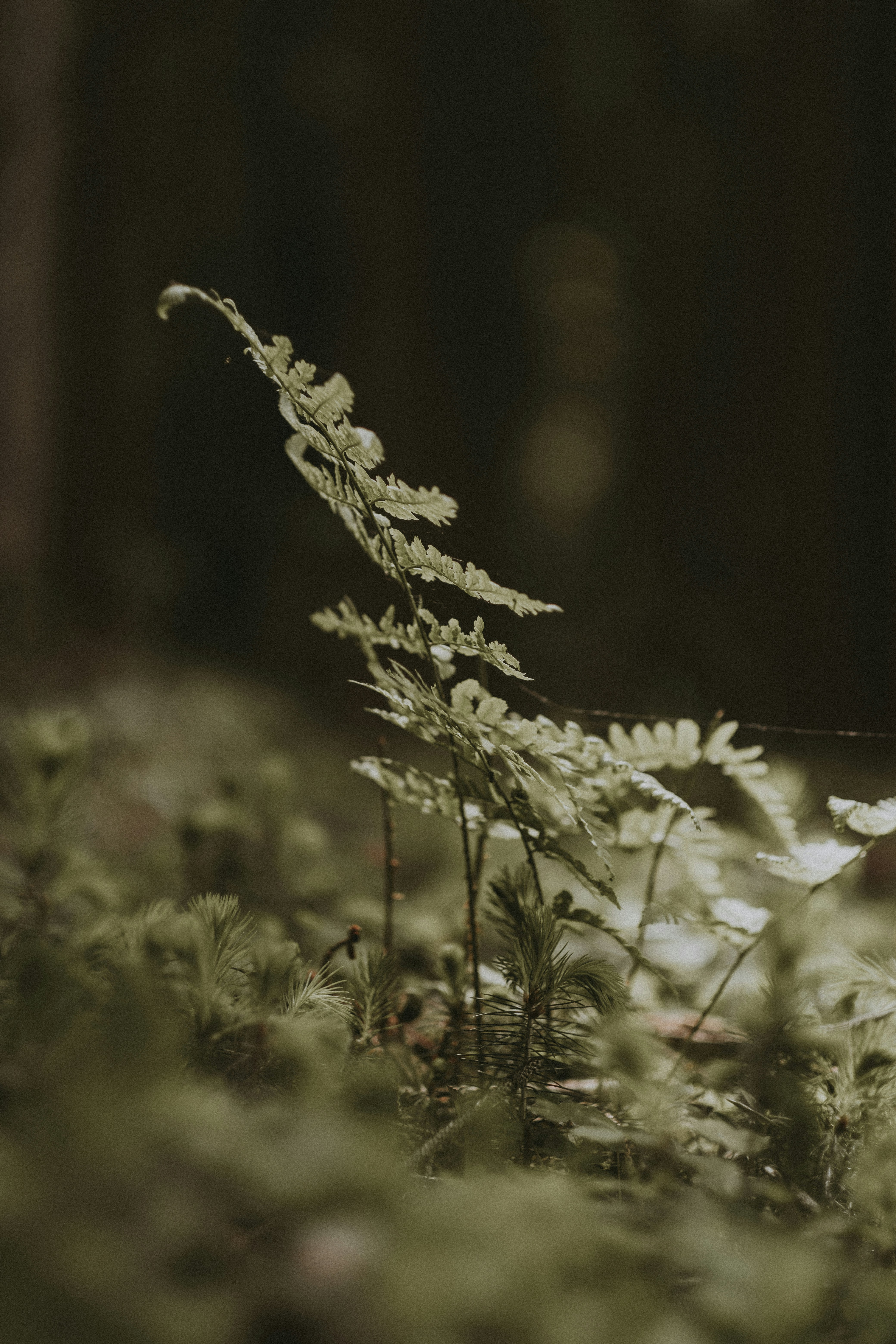 Photo by nadiacortellesi