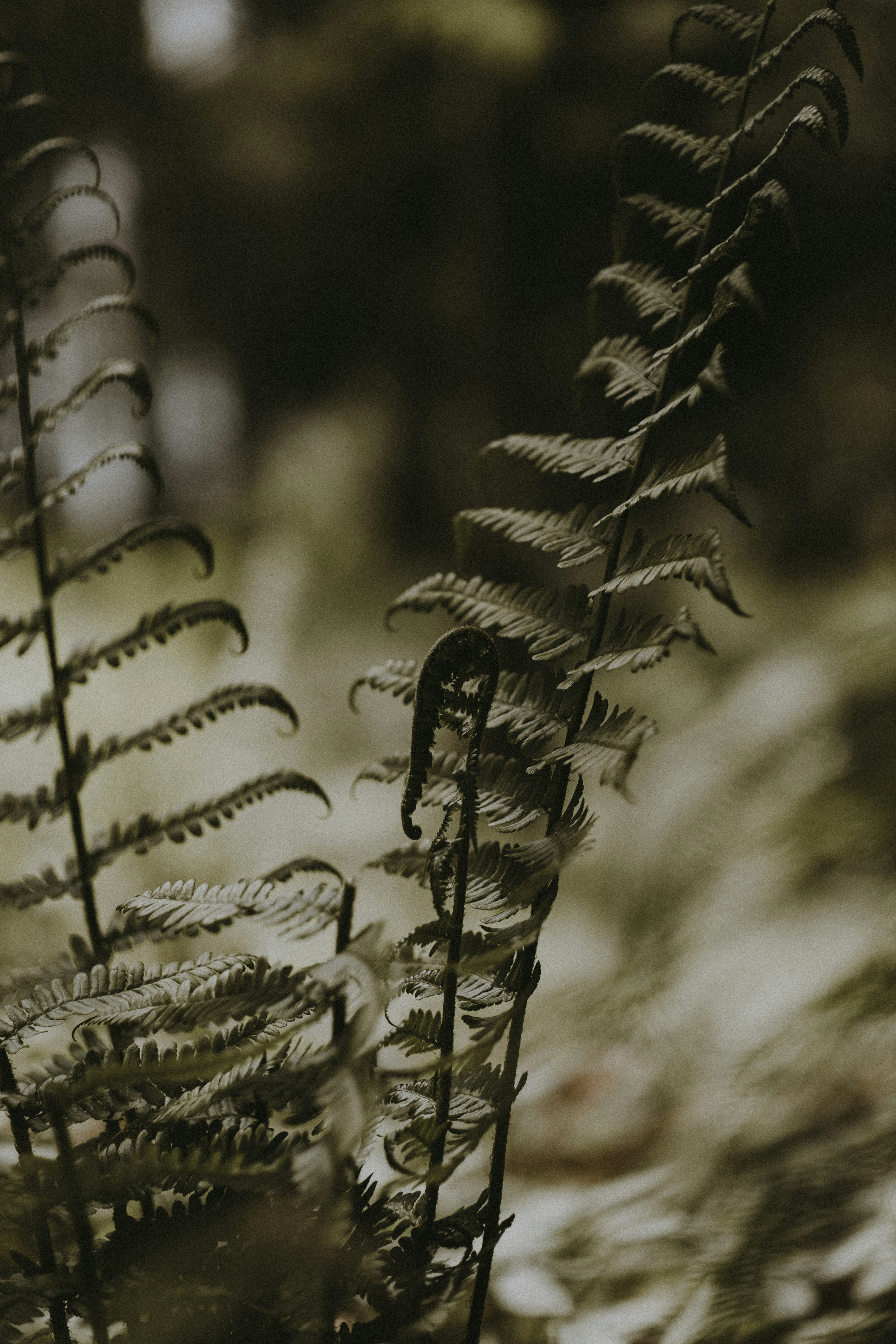 Photo by nadiacortellesi