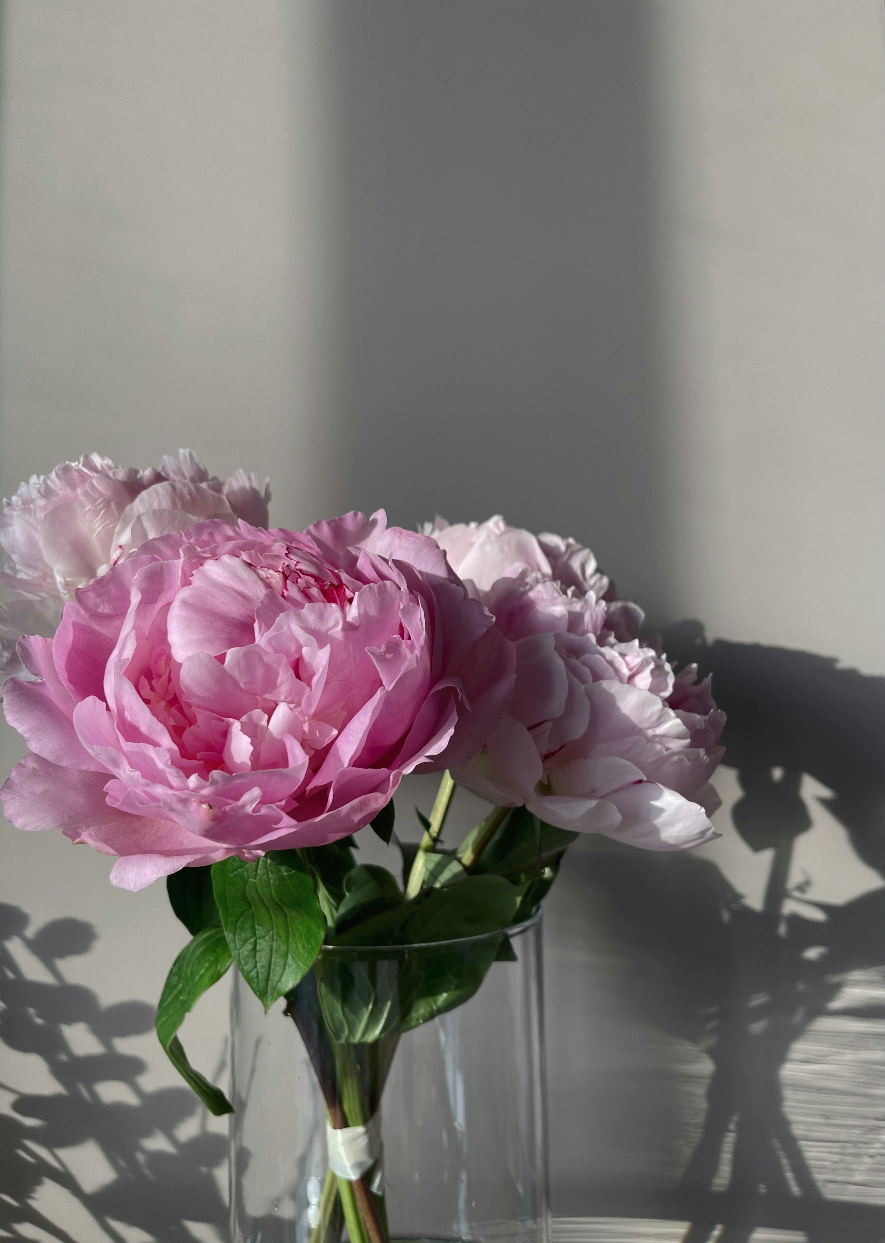 Photo by its__amazing