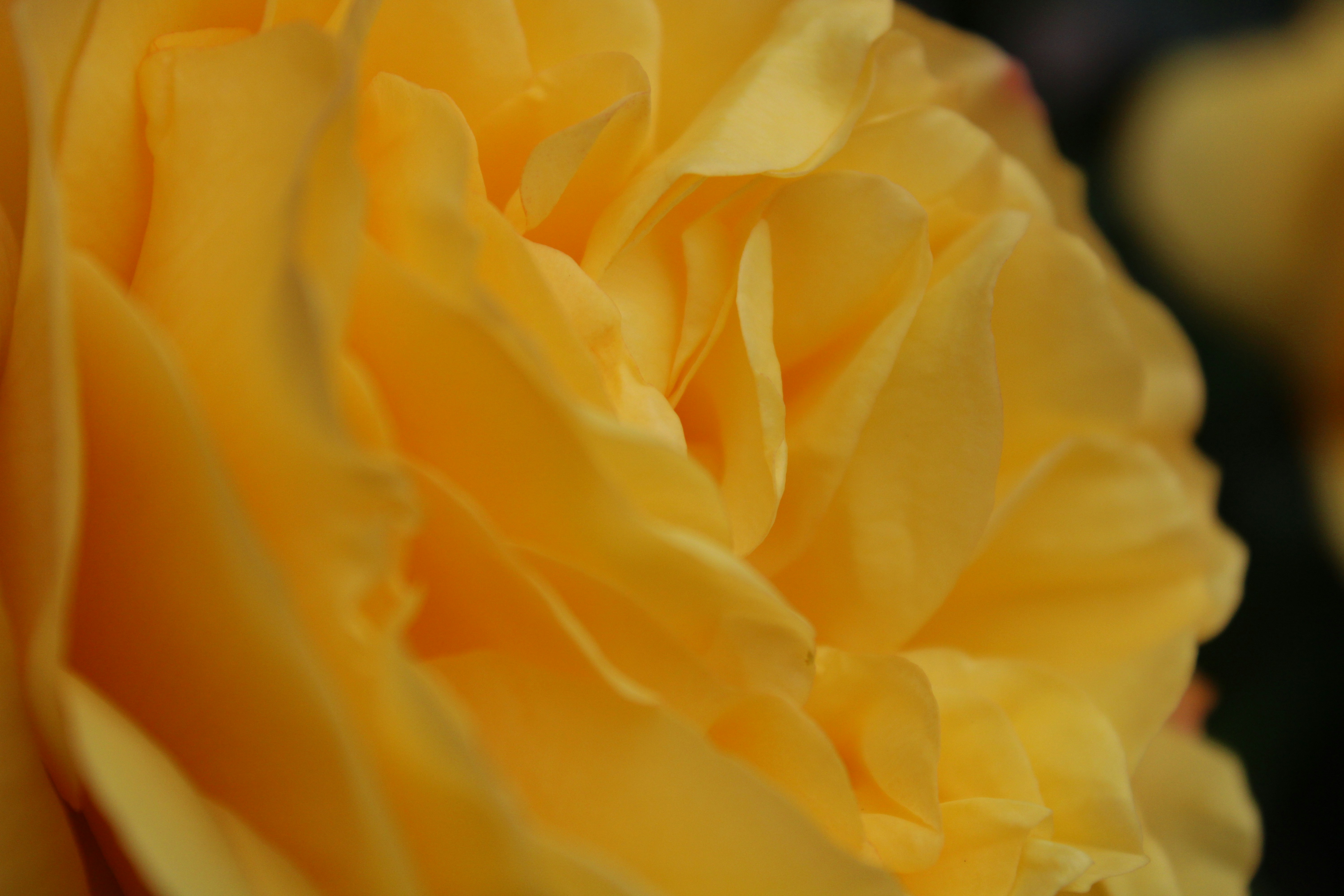 Photo by every_small_step_