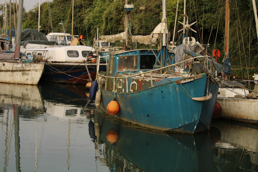 boats docked in a harbor