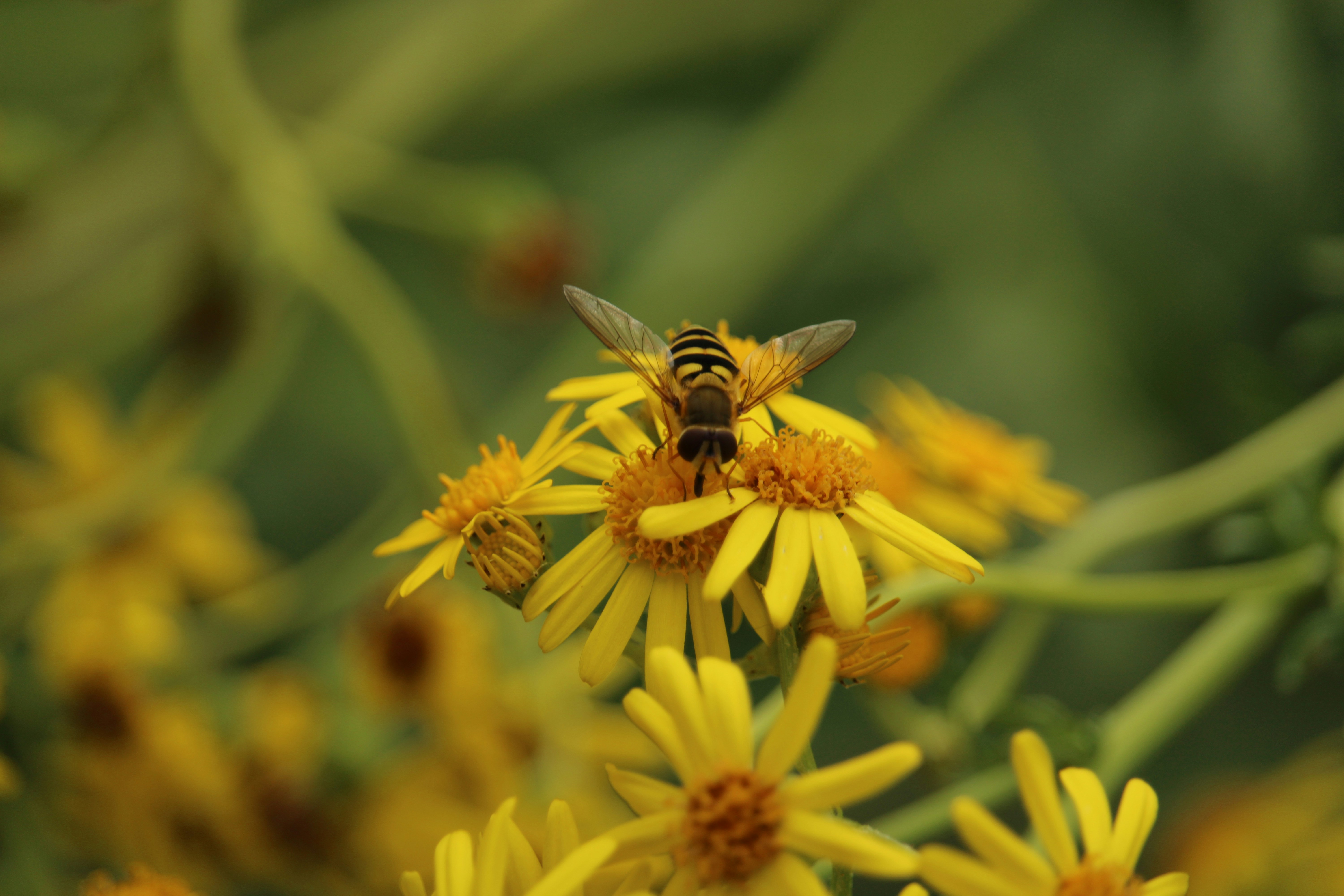 Photo by every_small_step_