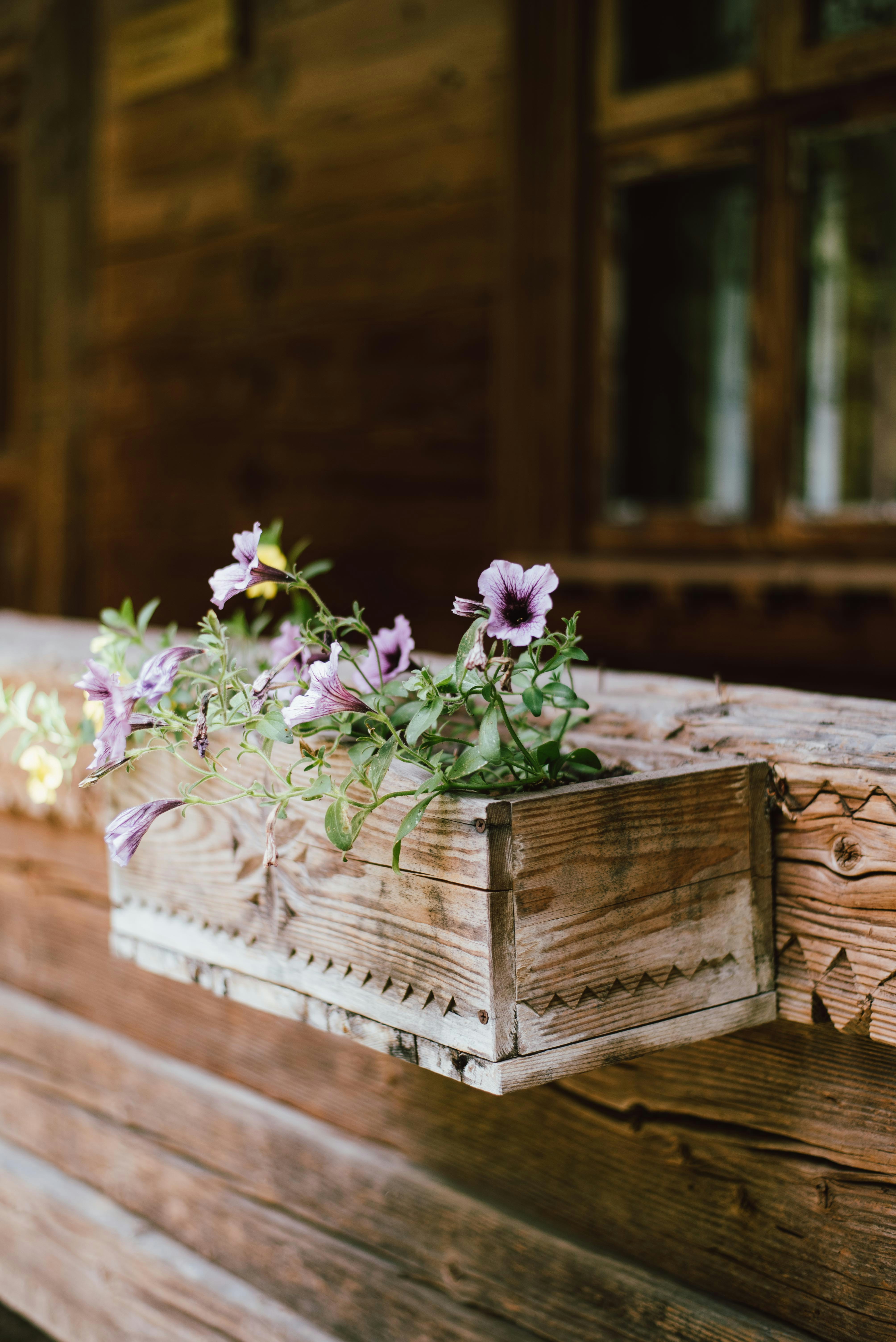 ein Blumenstrauß auf einer Bank