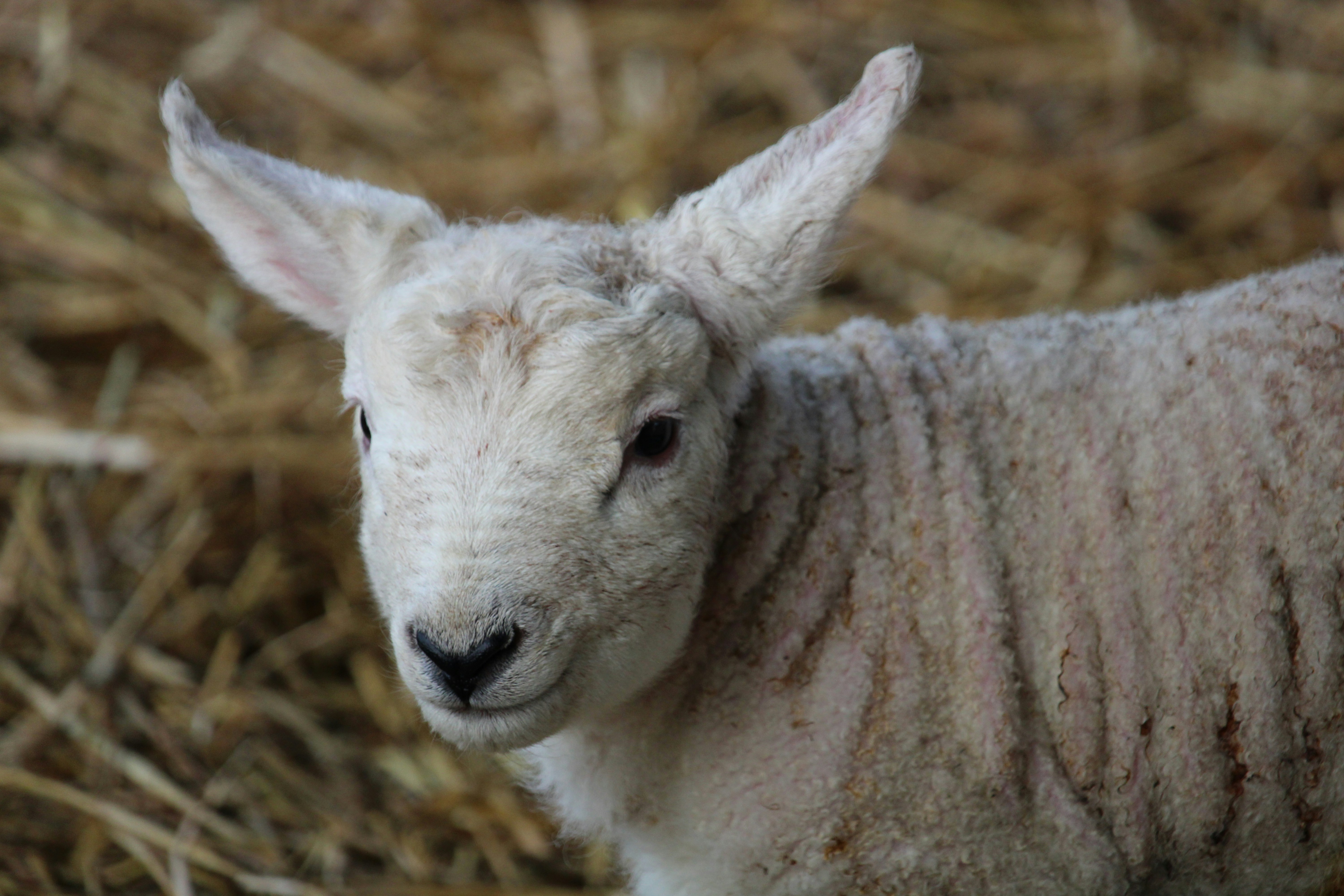 Photo by every_small_step_