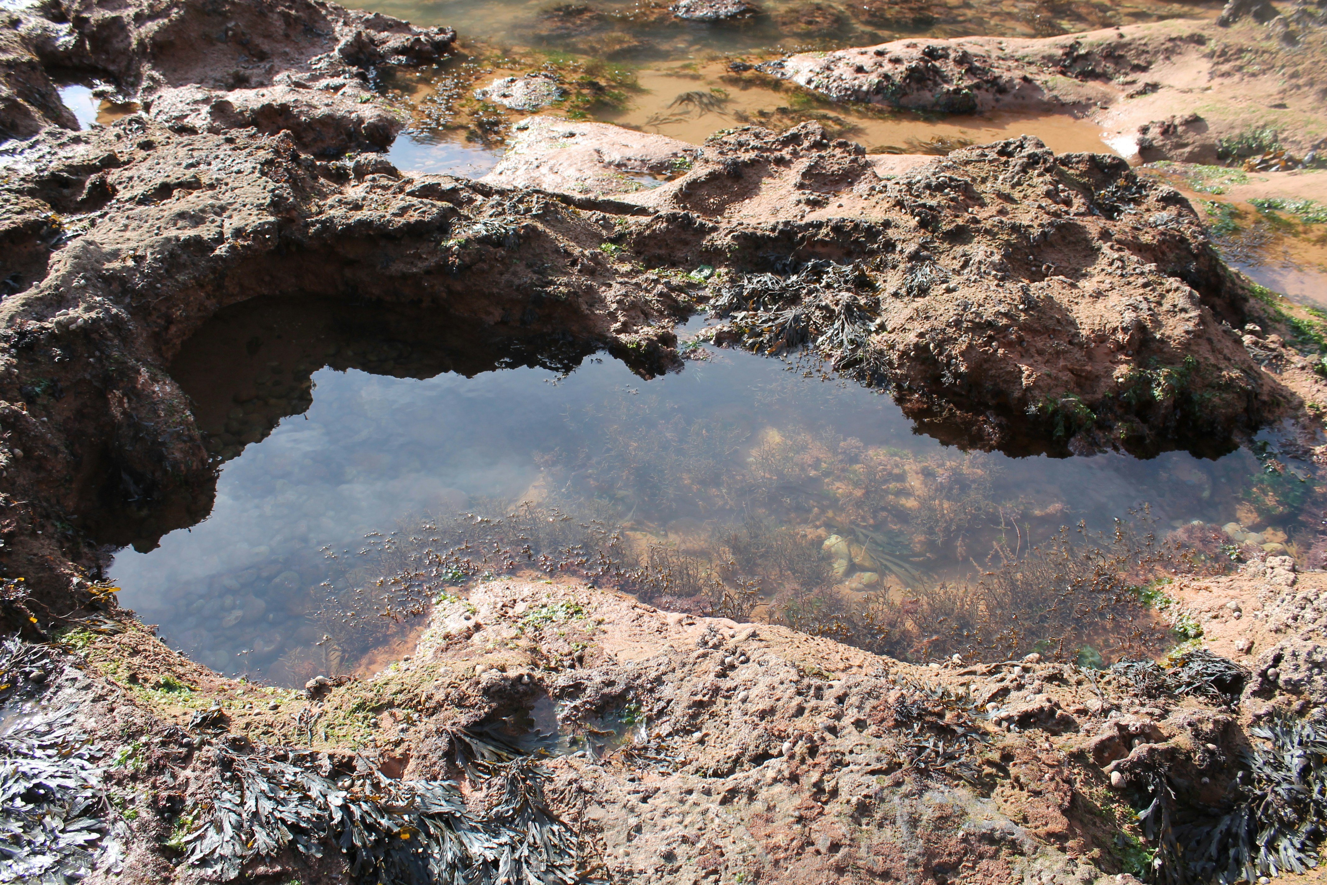 Photo by every_small_step_