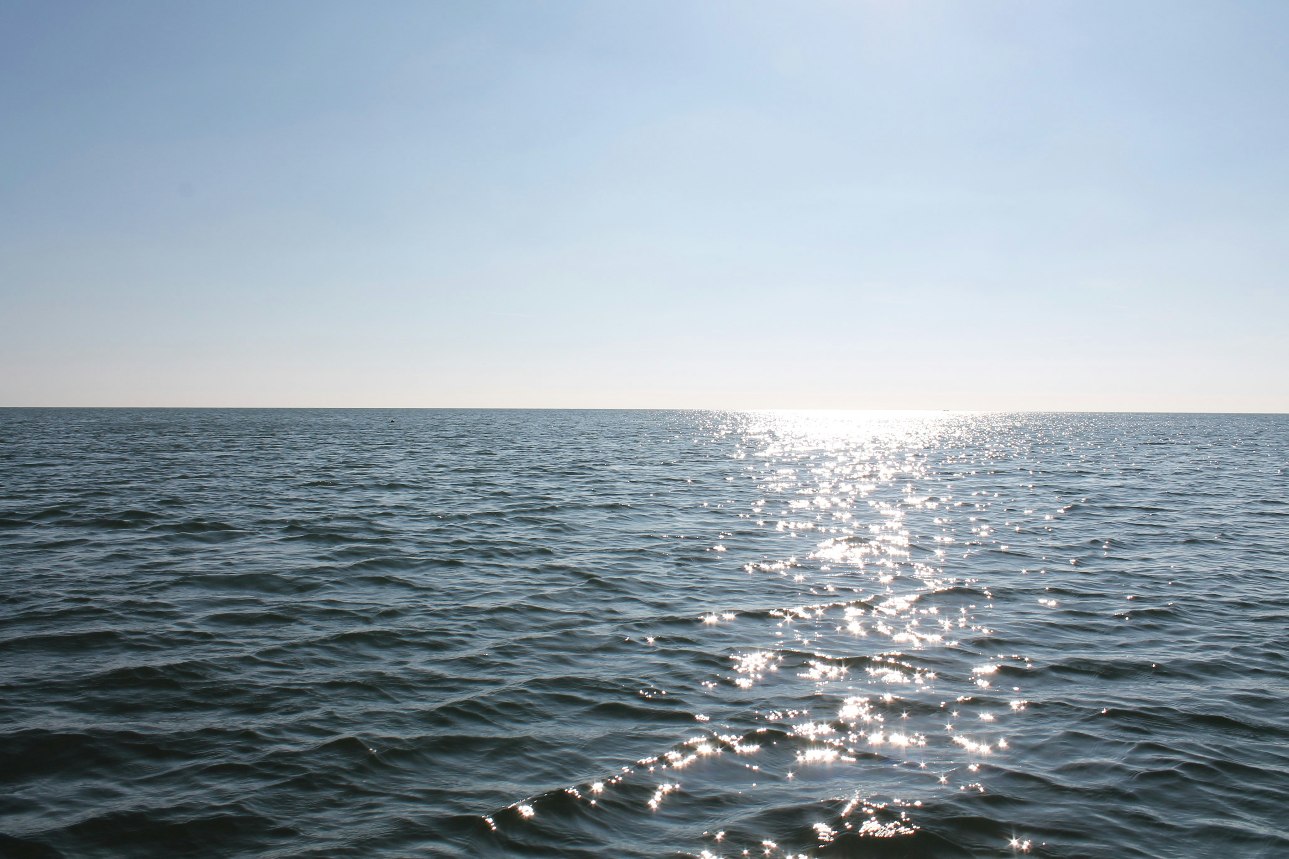 Photo by every_small_step_