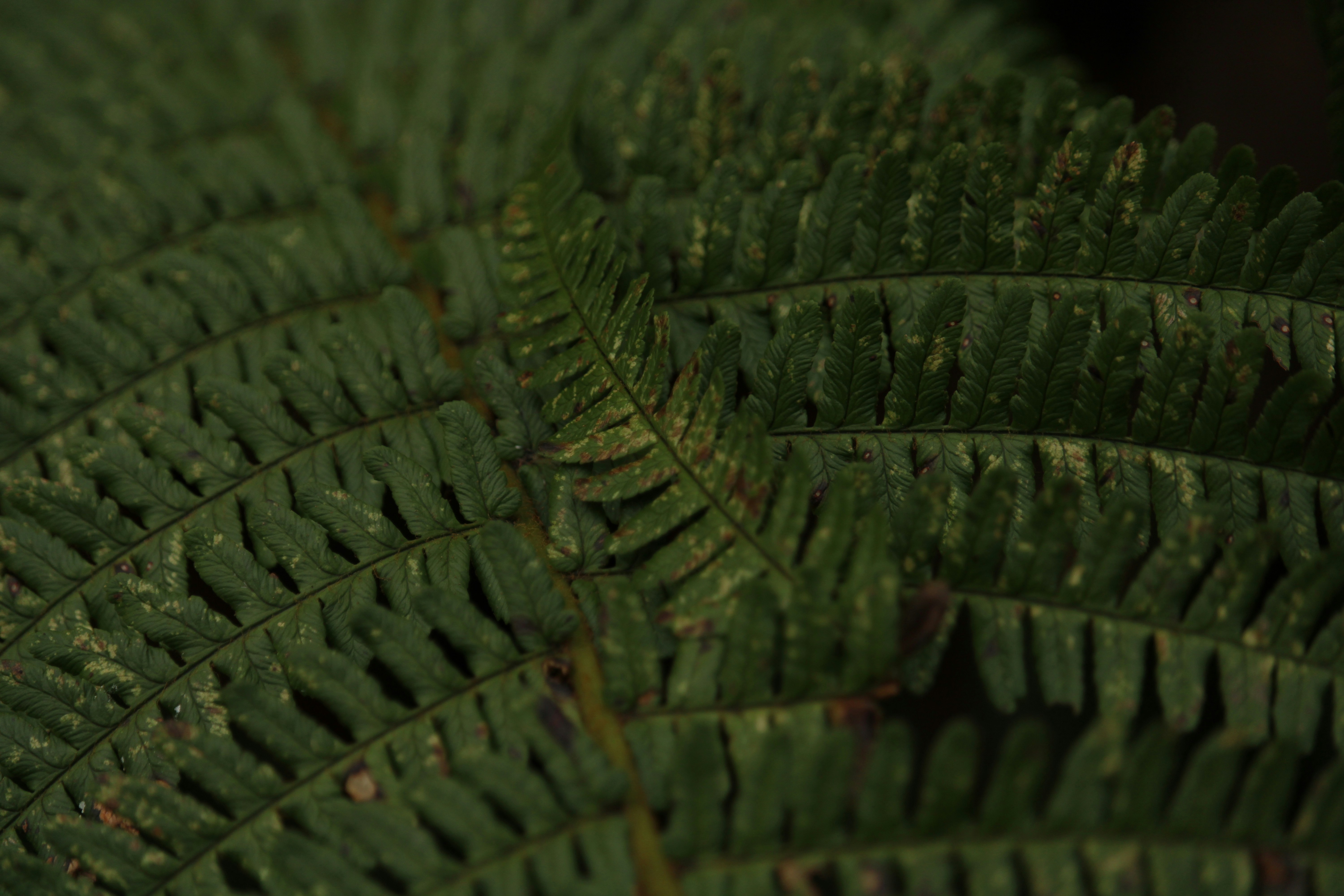 Photo by every_small_step_