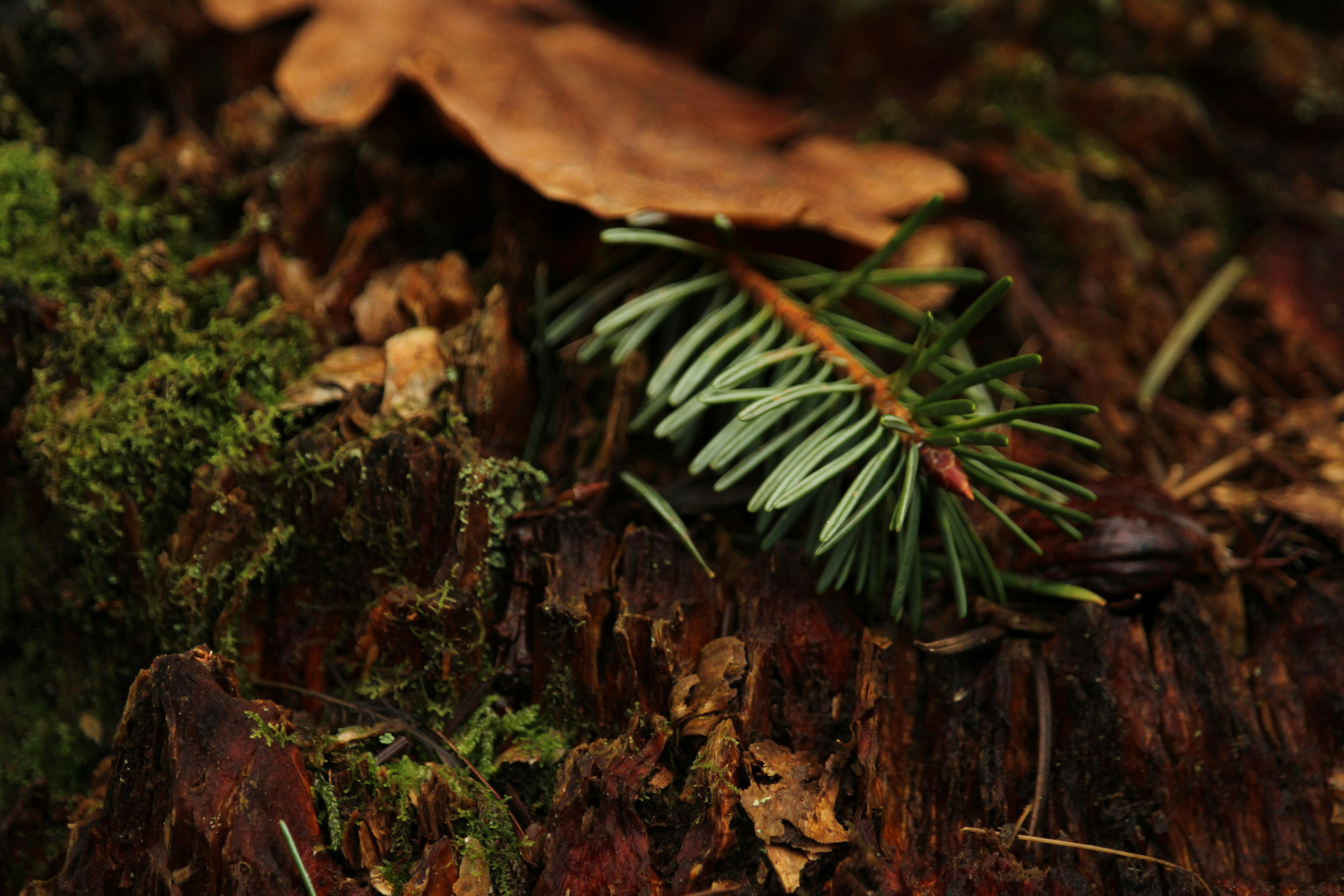 Photo by every_small_step_