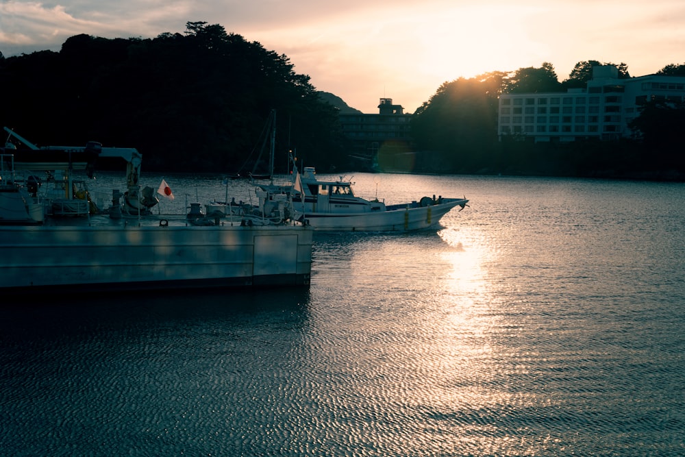 boats on the water