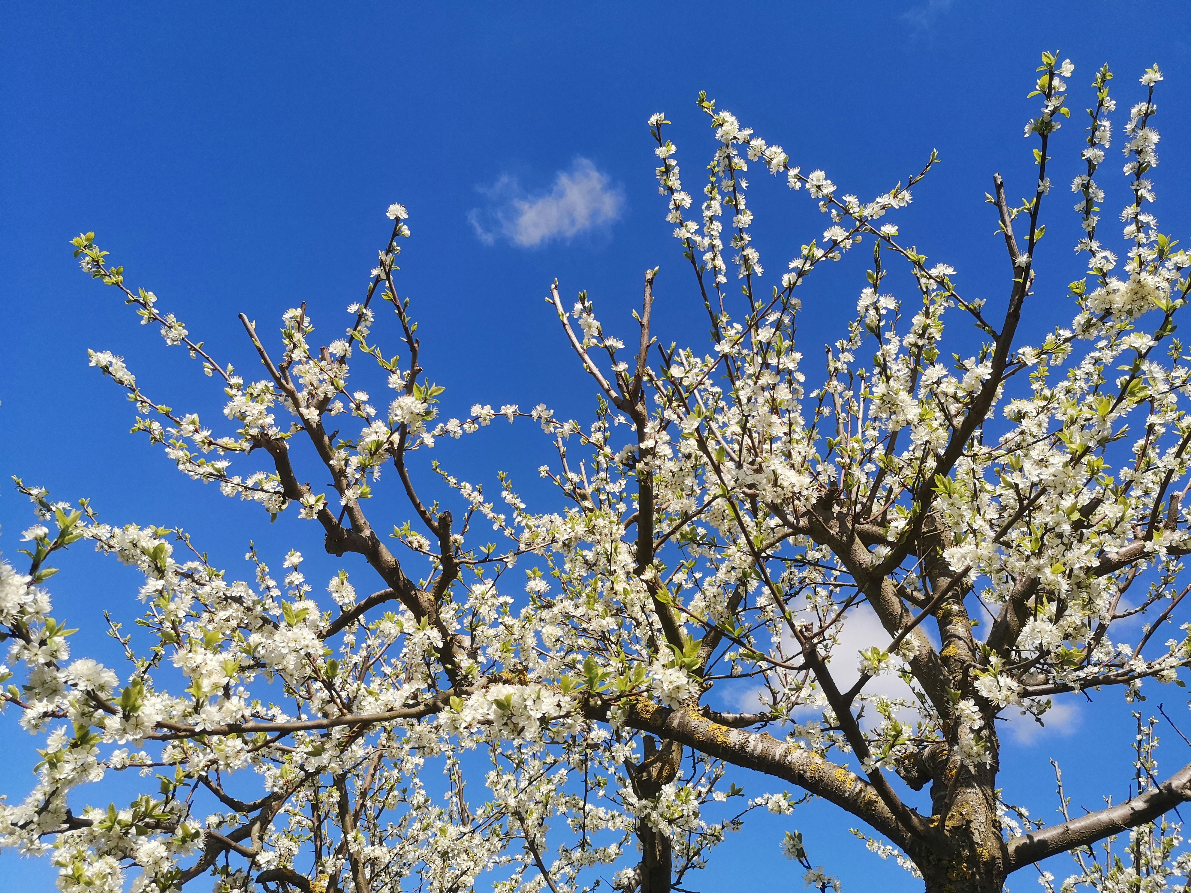 Photo by benreformed