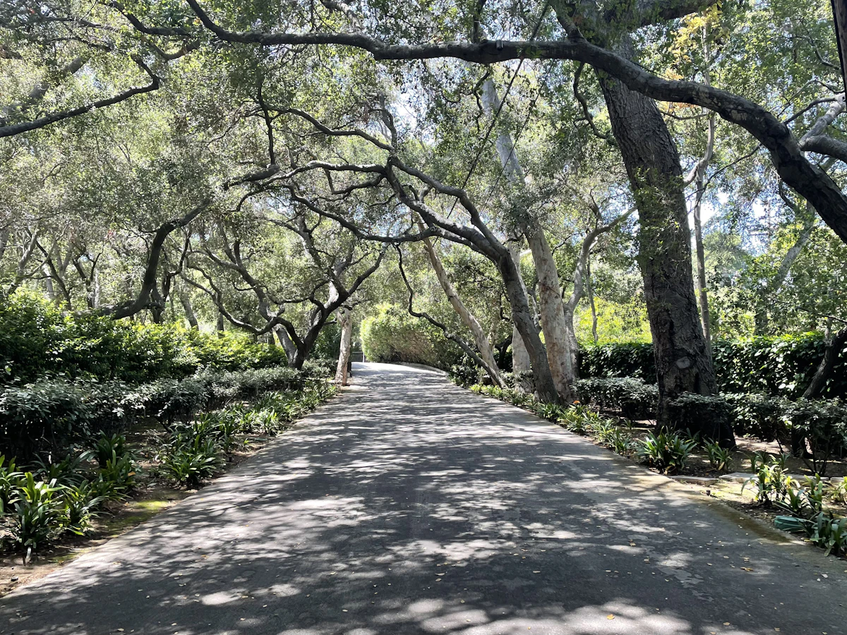 Rue résidentielle calme bordée d'arbres, typique du secteur desservi
