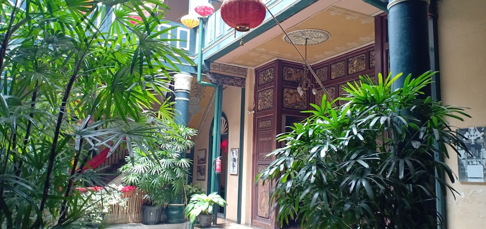 a building with plants and a lamp