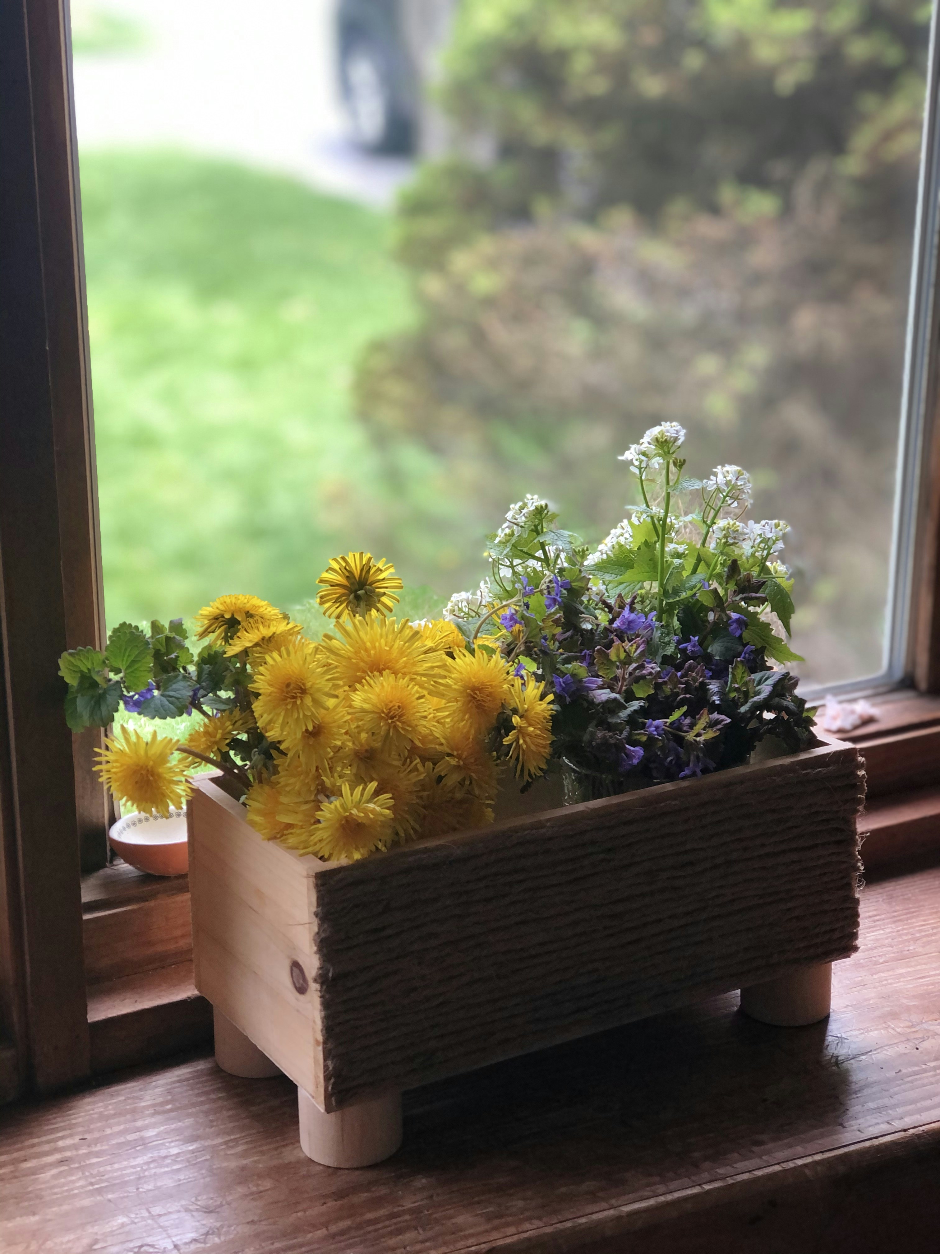 Homemade Spring Break Bj Pictures | Download Free Images on Unsplash