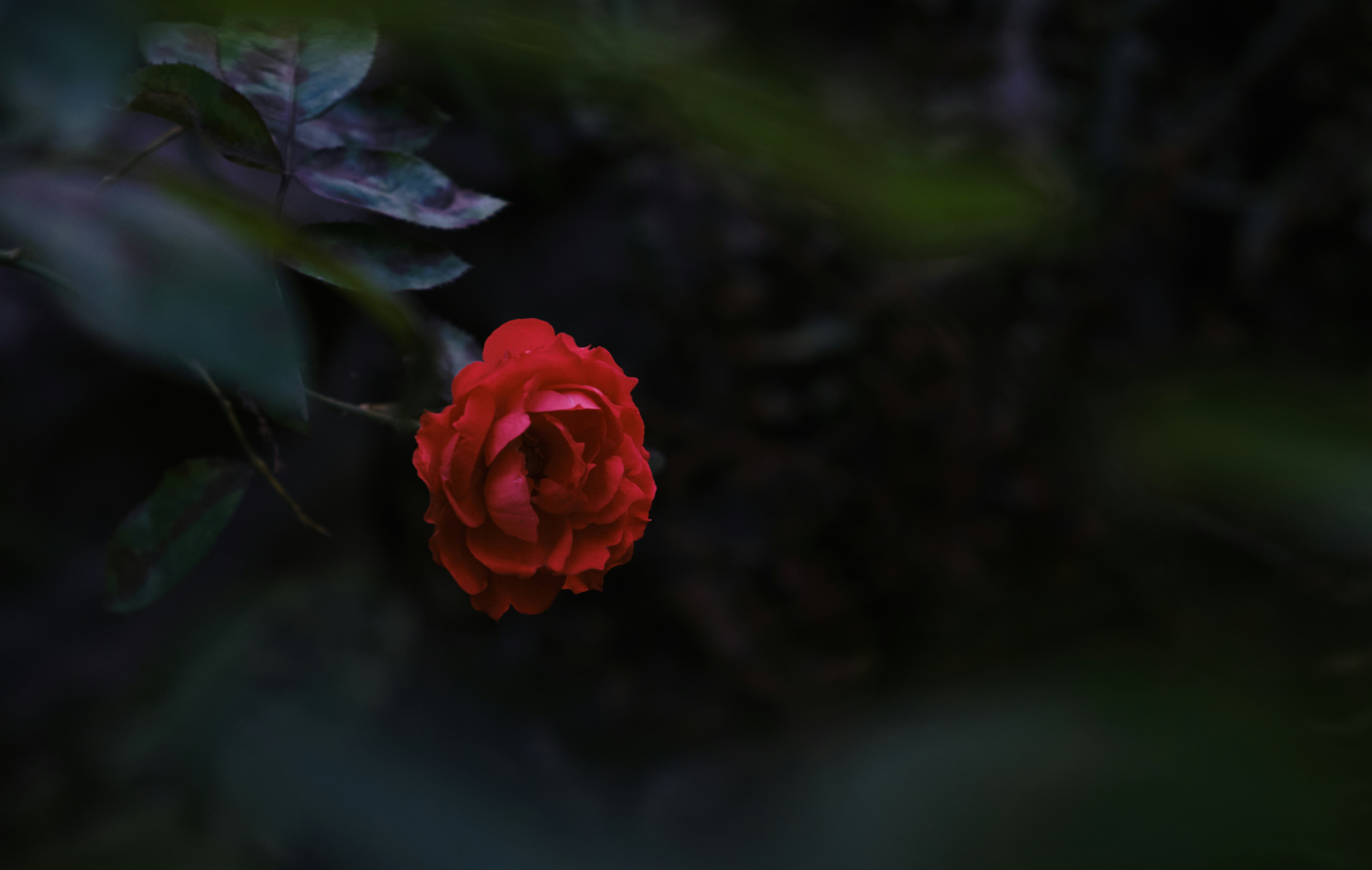 Photo by manhterry93