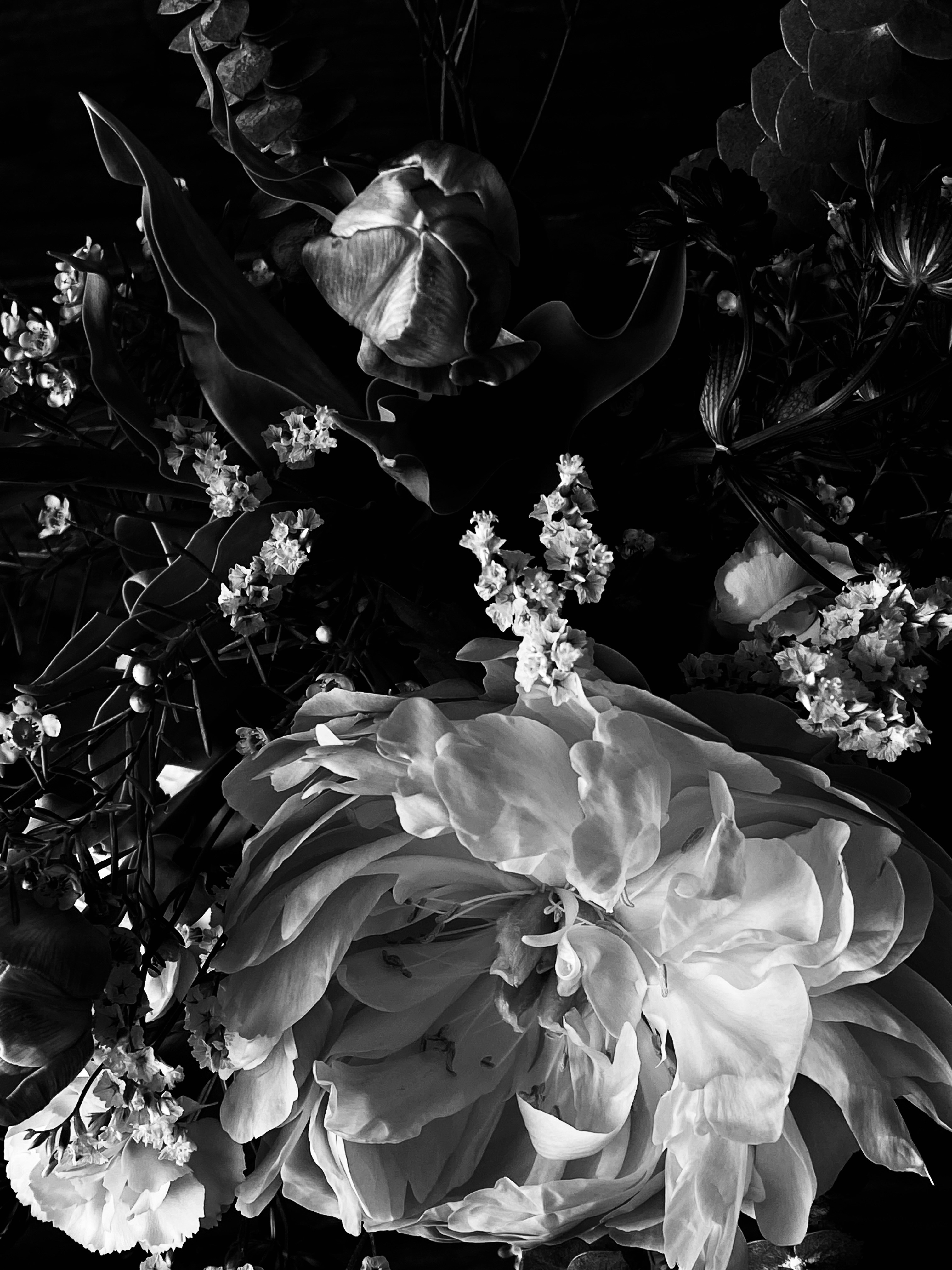 Photo by filipp_roman_photography