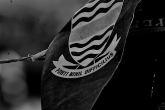 a flag with a black and white design