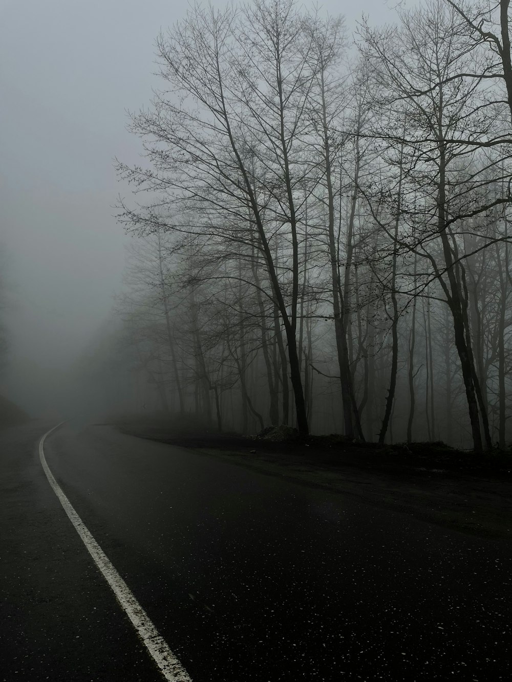 a road with trees on the side