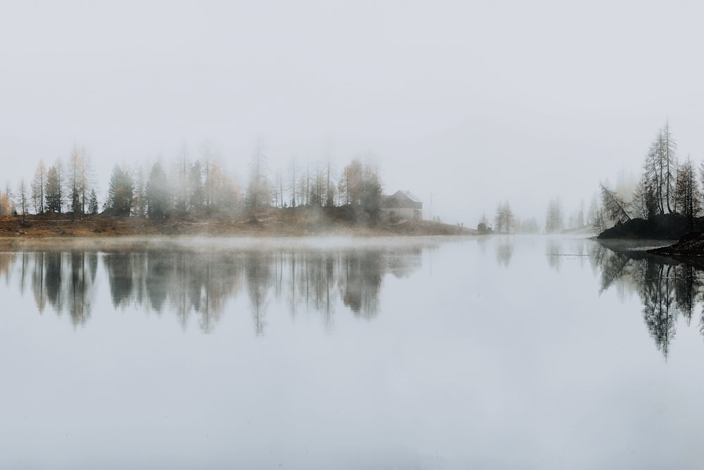 a lake with trees and a house in the background