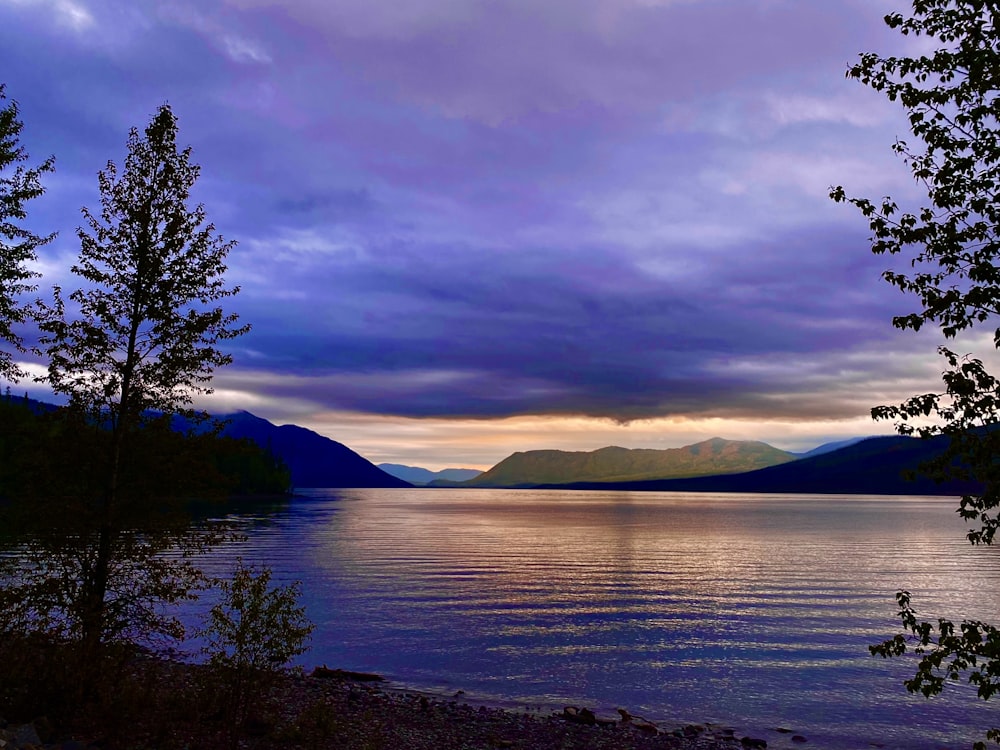 a body of water with trees around it