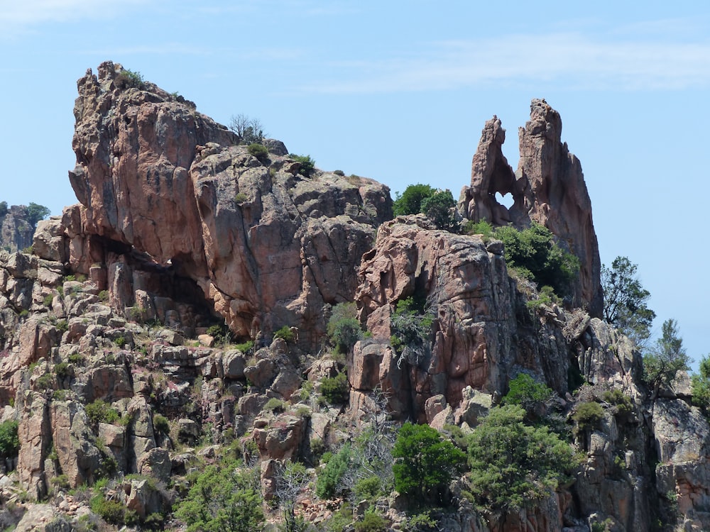 a rocky mountain with trees