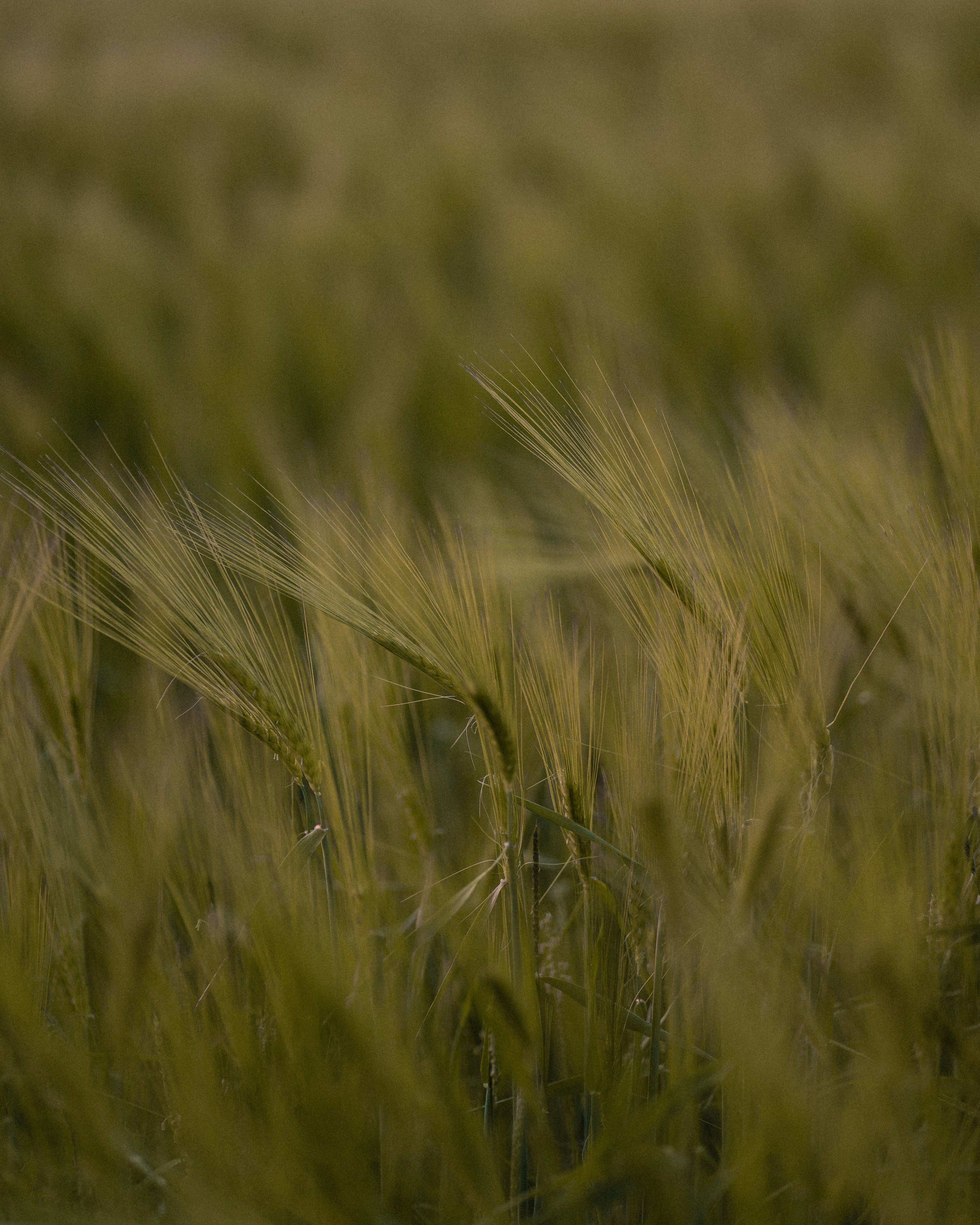 Photo by jefftrierweiler