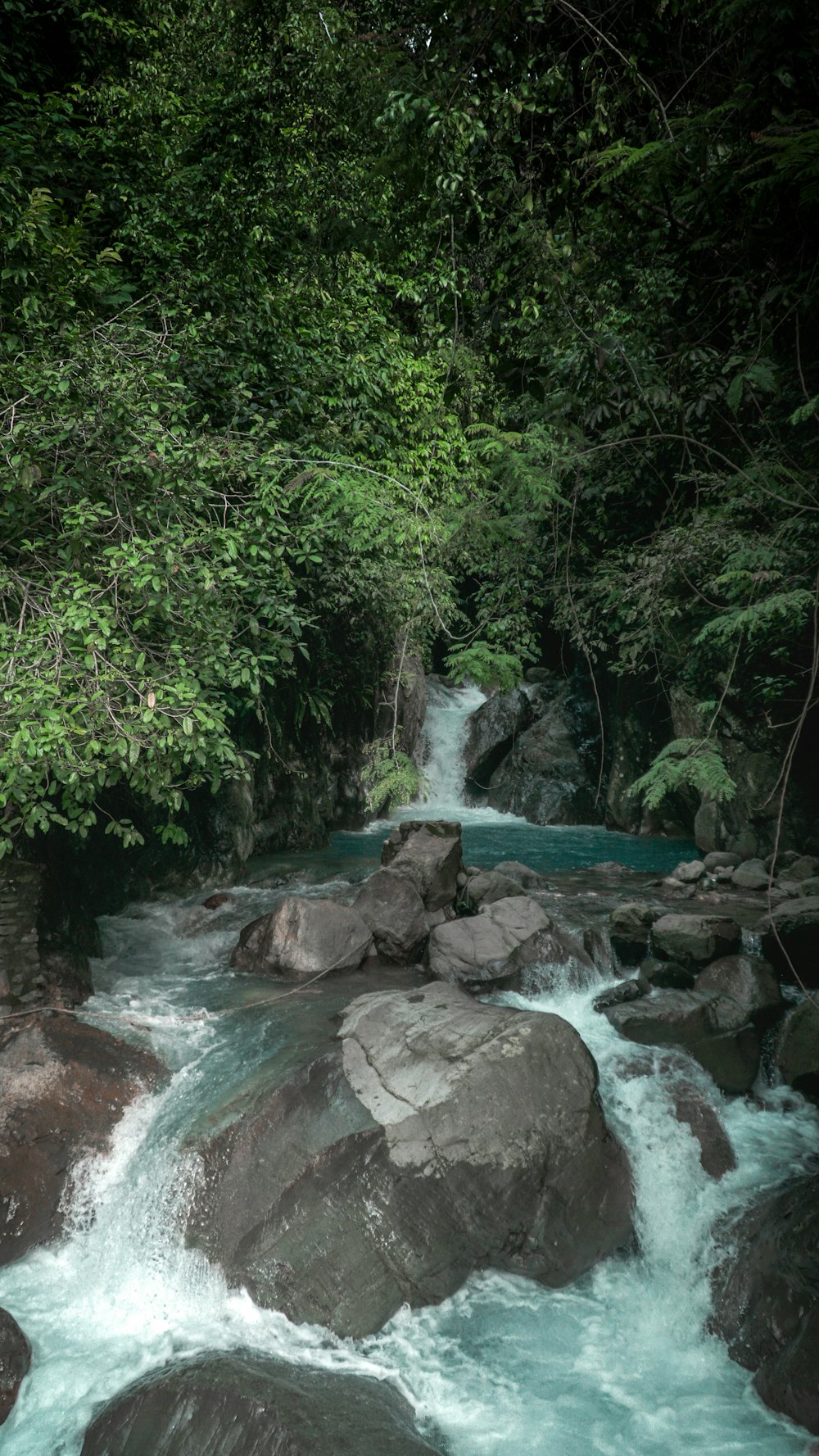 a river with rocks and trees with Mayfield Falls in the background