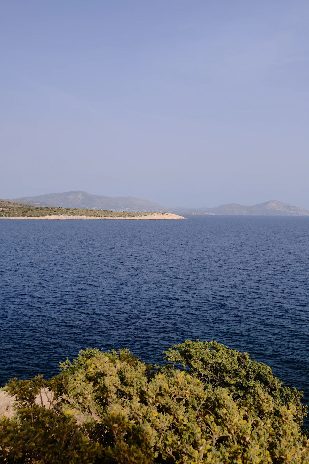 Pesca Deportiva Premium