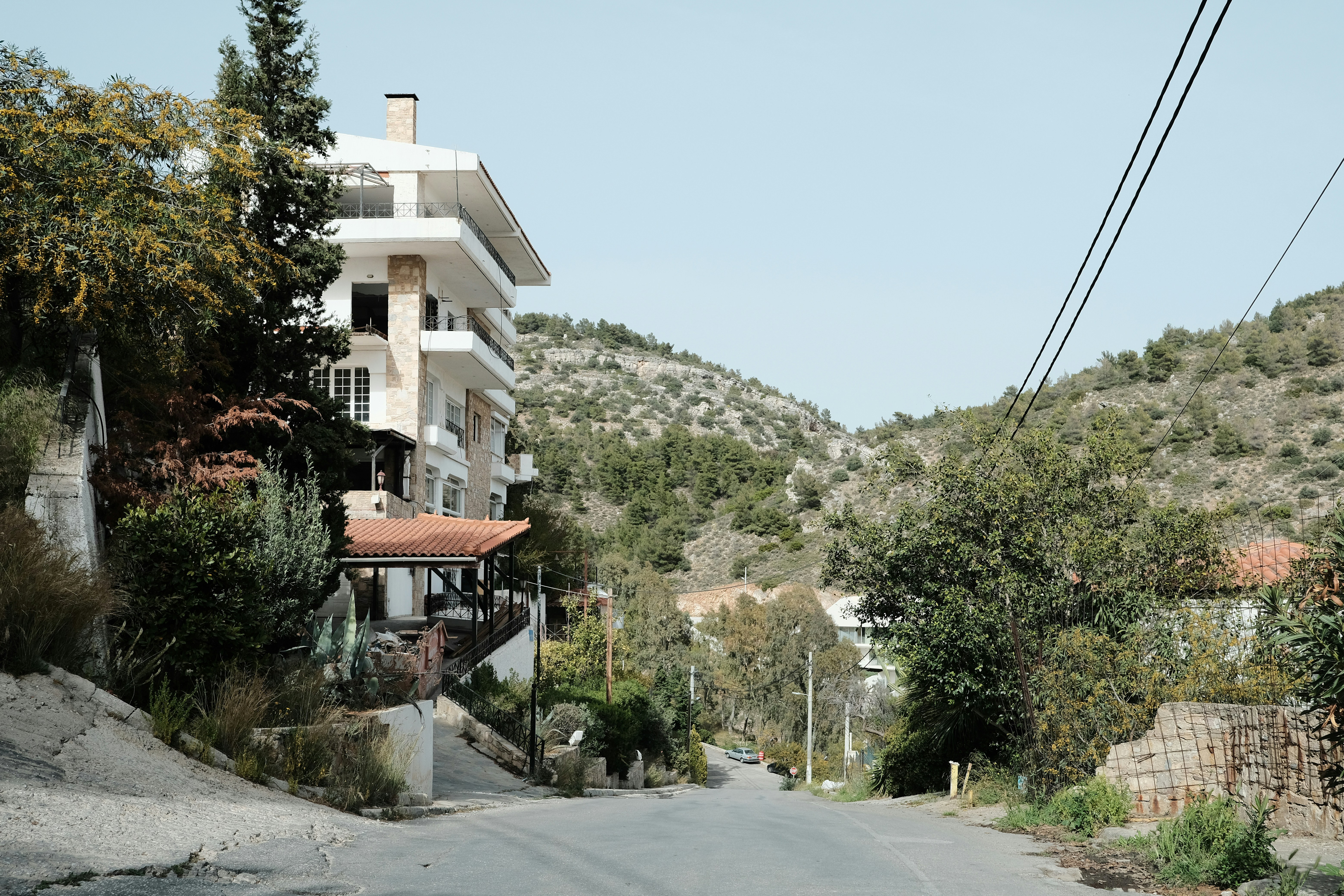 a road with trees and buildings on the side