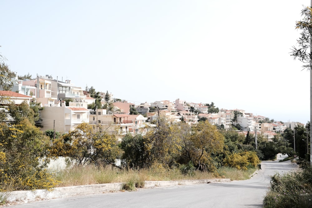 uma estrada com árvores e edifícios ao longo dela