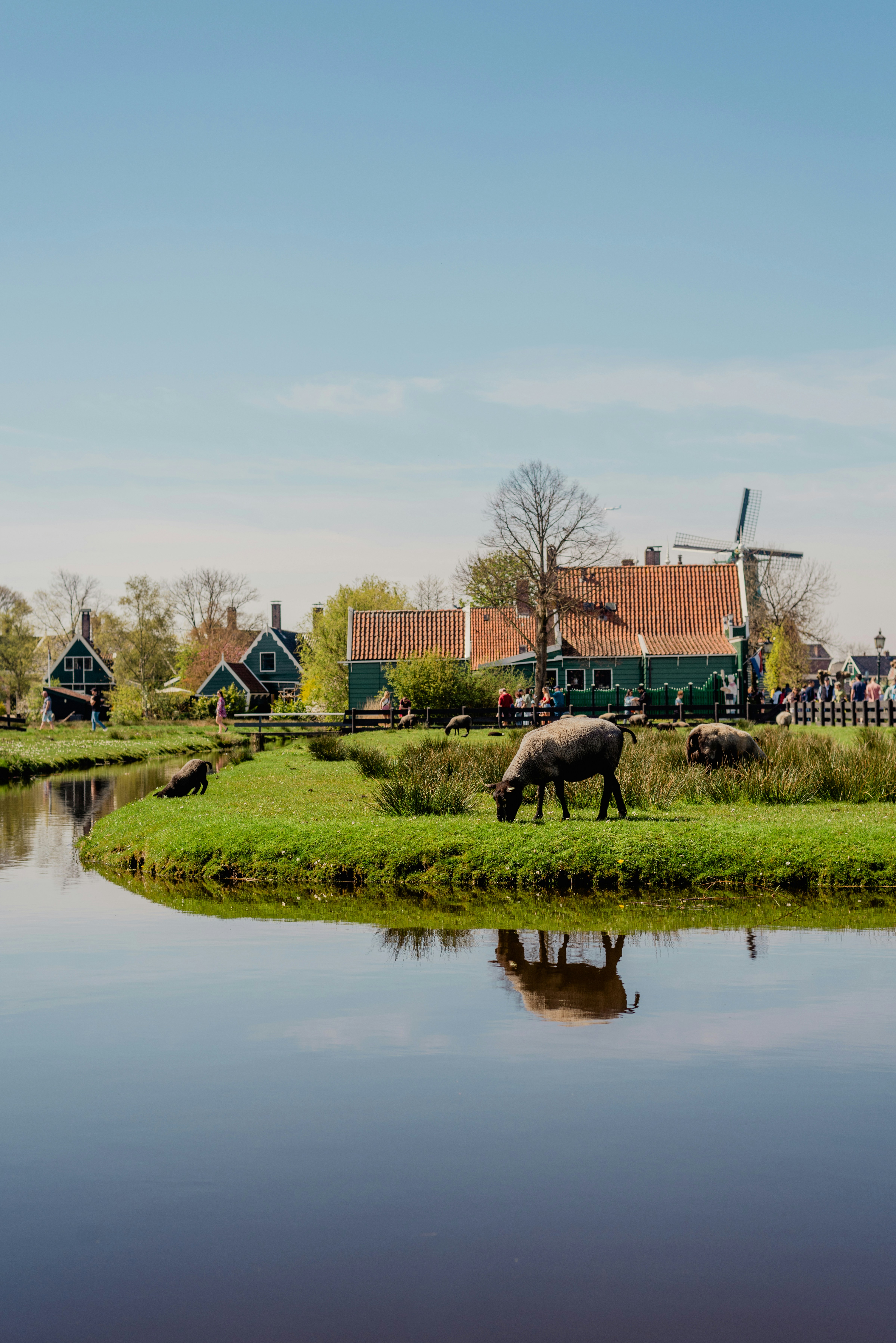 a group of animals stand near a body of water