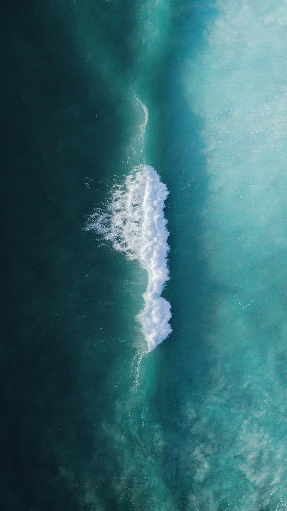 a wave in the ocean