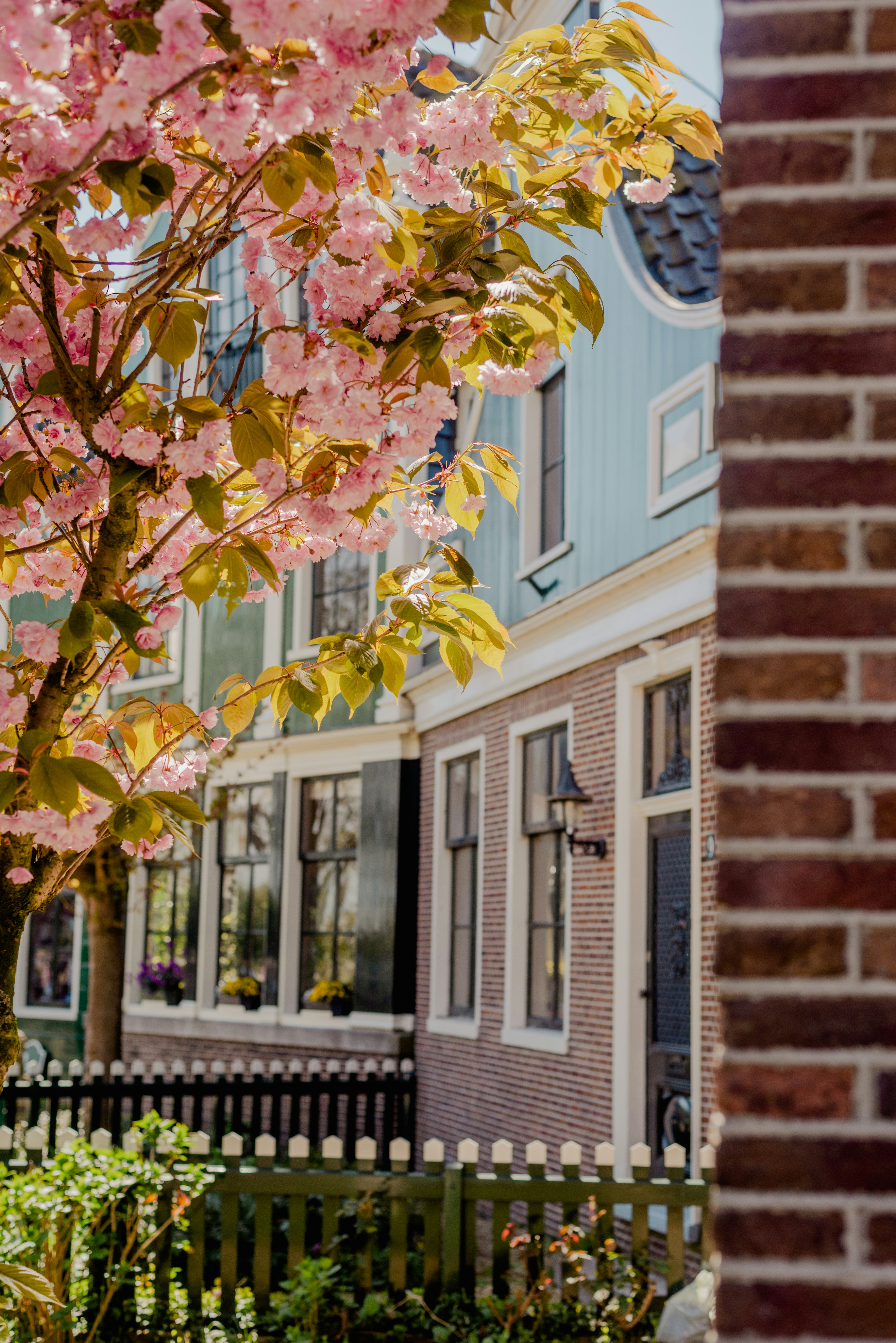 Photo by eugenivy_now