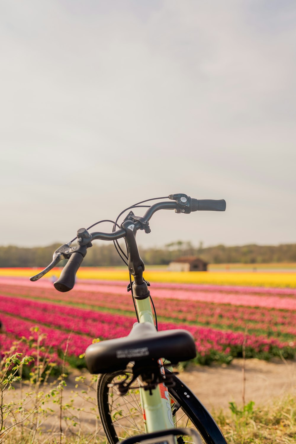 a bicycle parked in a field