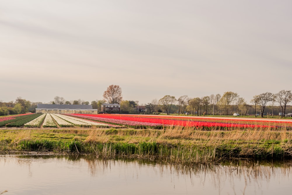 a red track next to a river