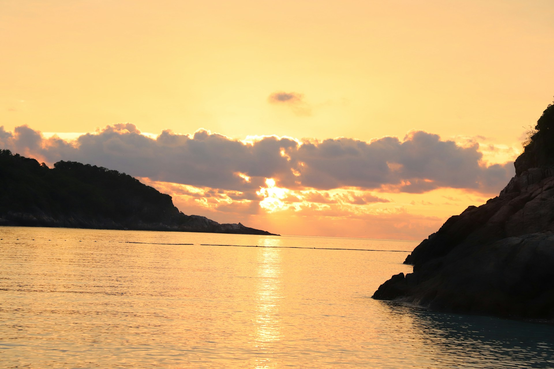 woman holding dried flower