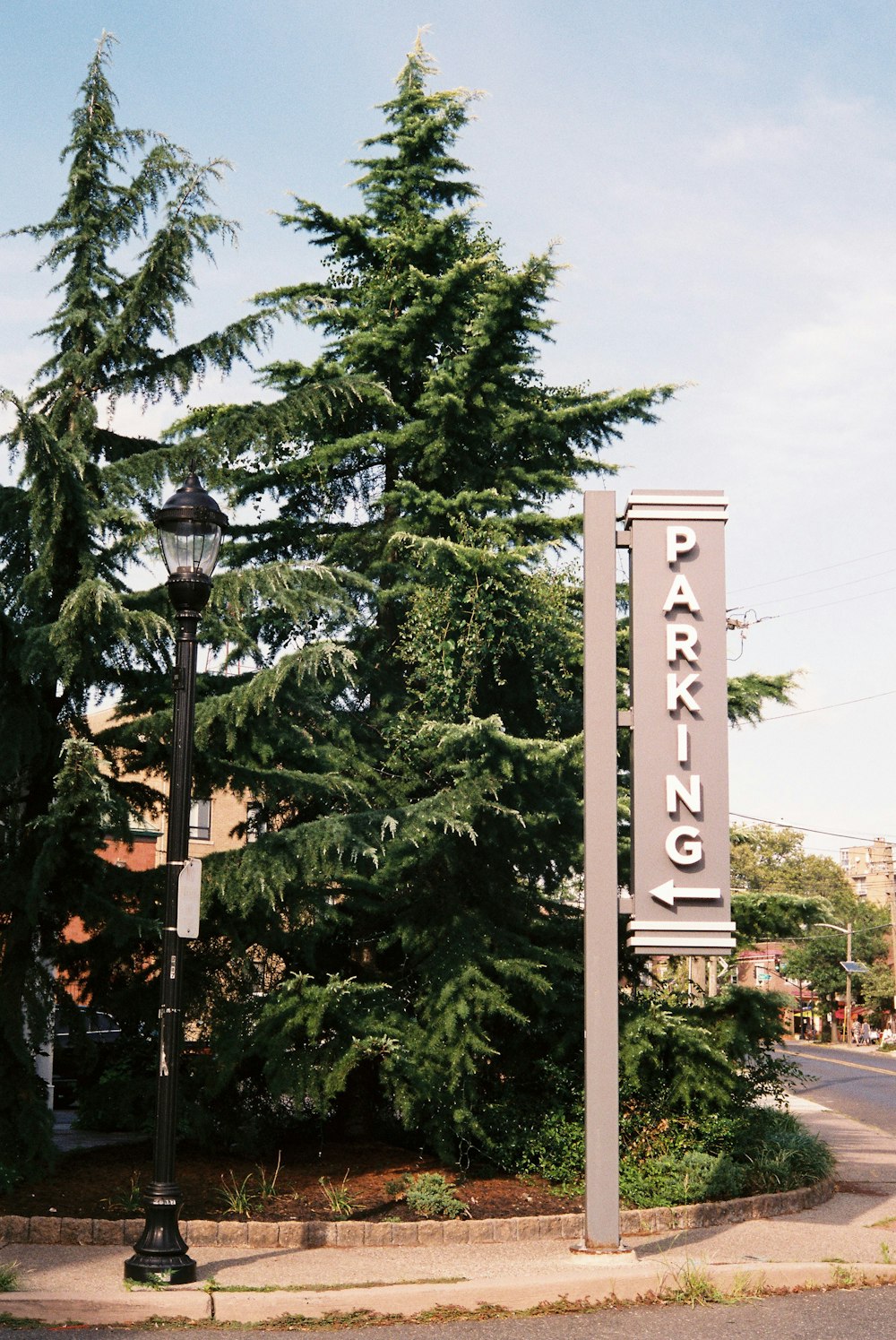 a tall tree next to a sign