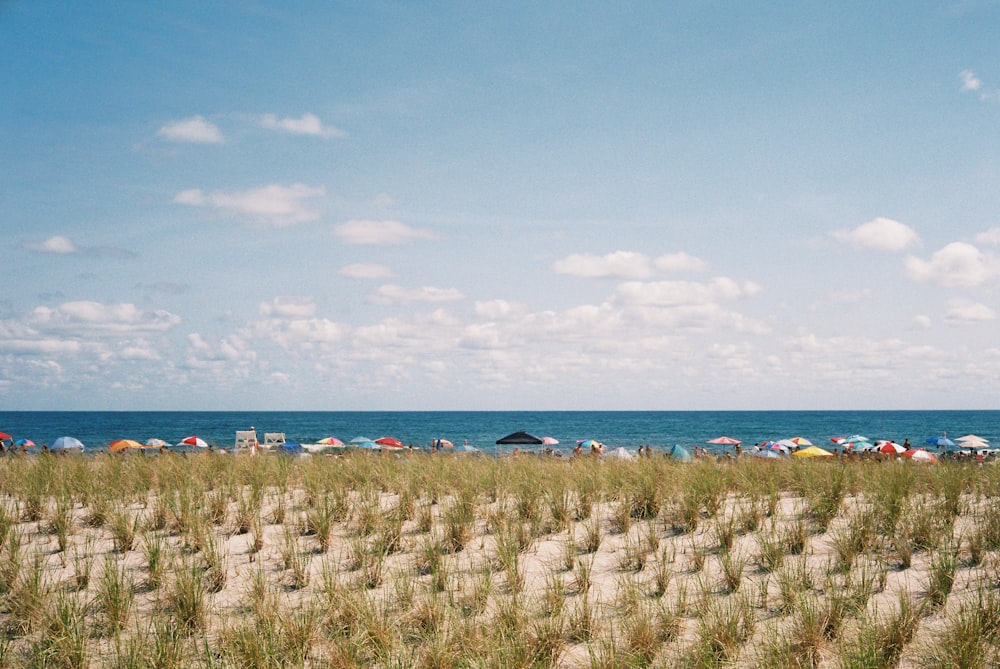 a beach with rocks and people