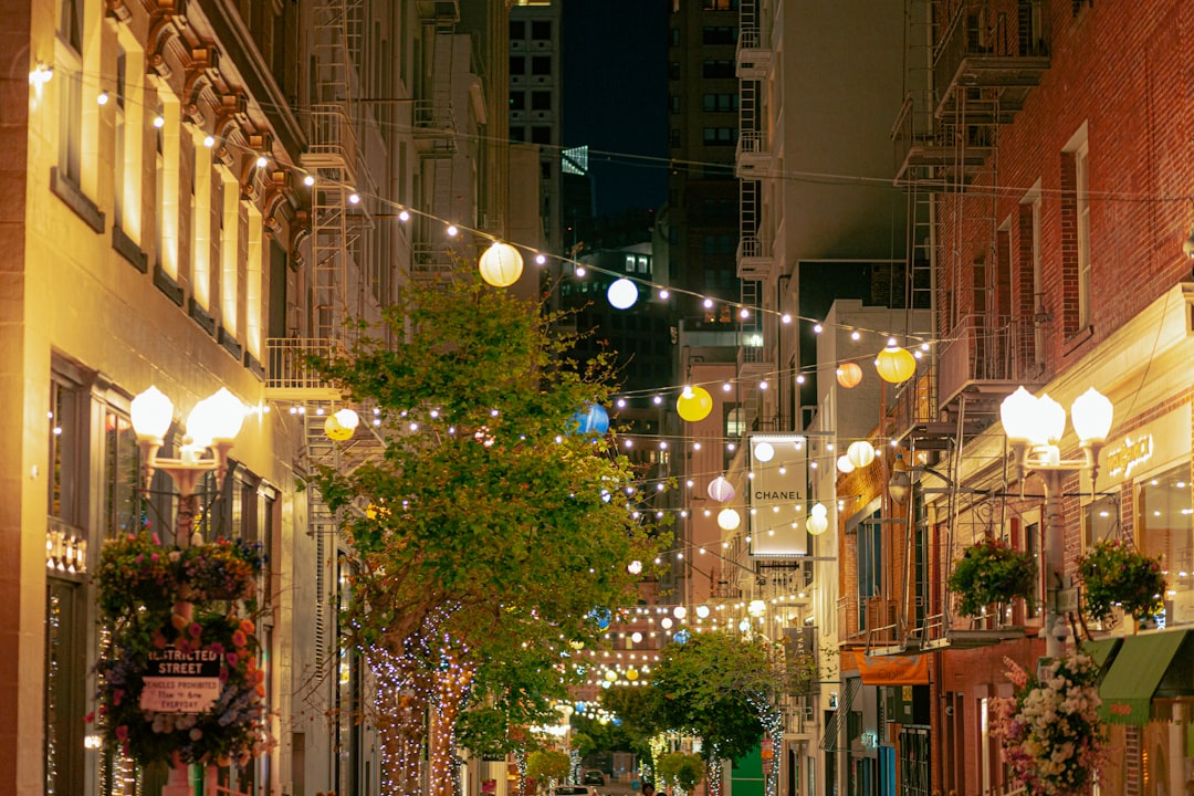 a tree in a city,