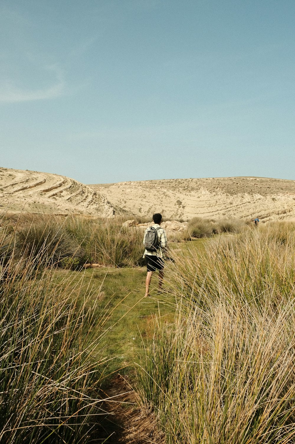 a person walking through tall grass