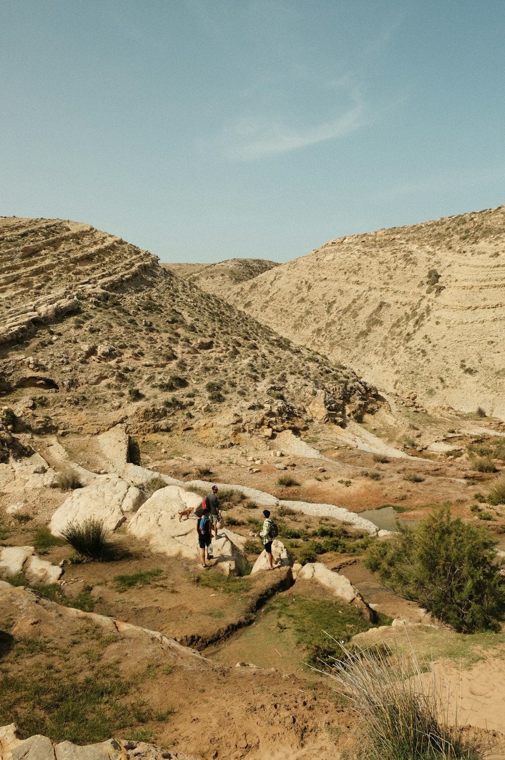 a group of people hiking