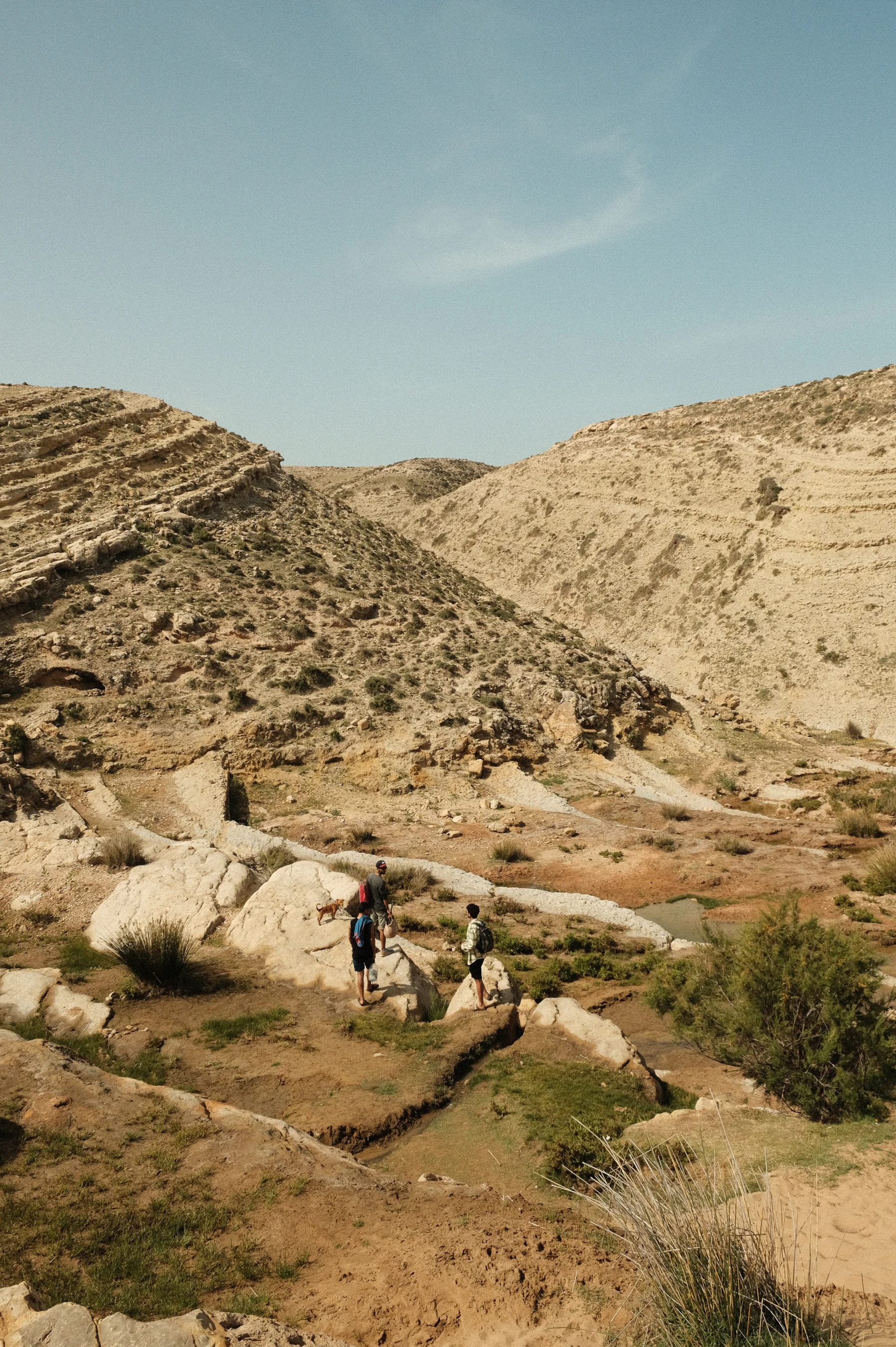 Groupe de randonneurs marchant ensemble dans un paysage naturel