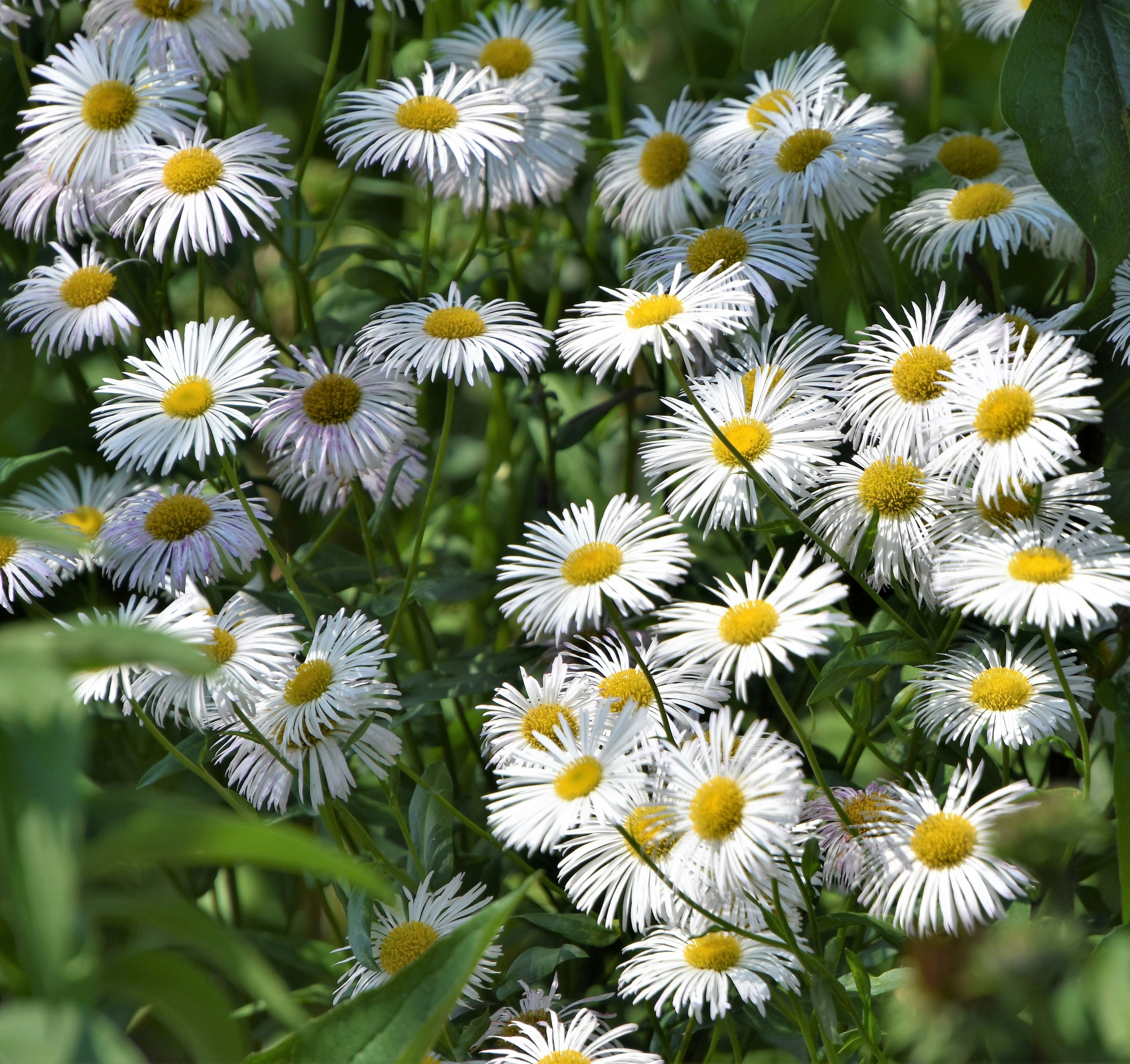 Photo by waldemarbrandt67w