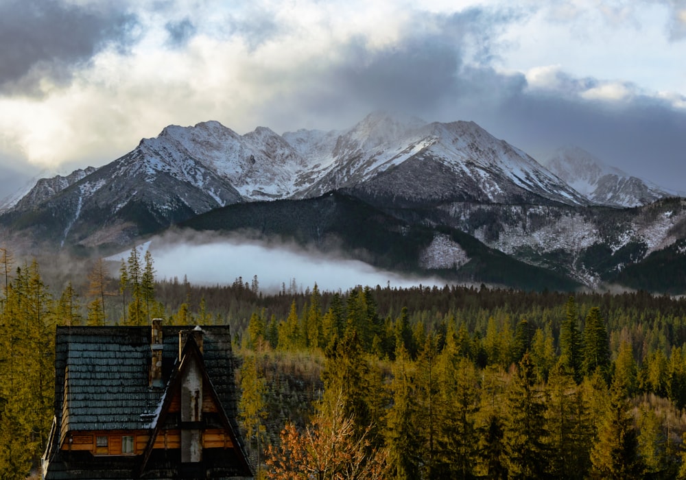 a cabin in the mountains