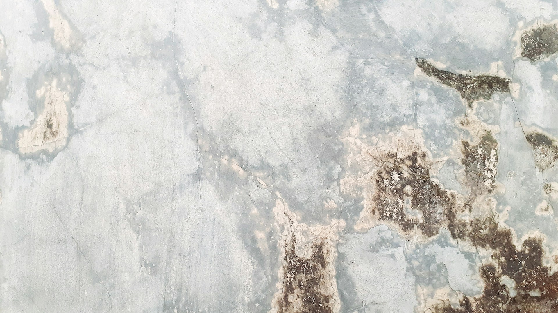 a snowy landscape with trees