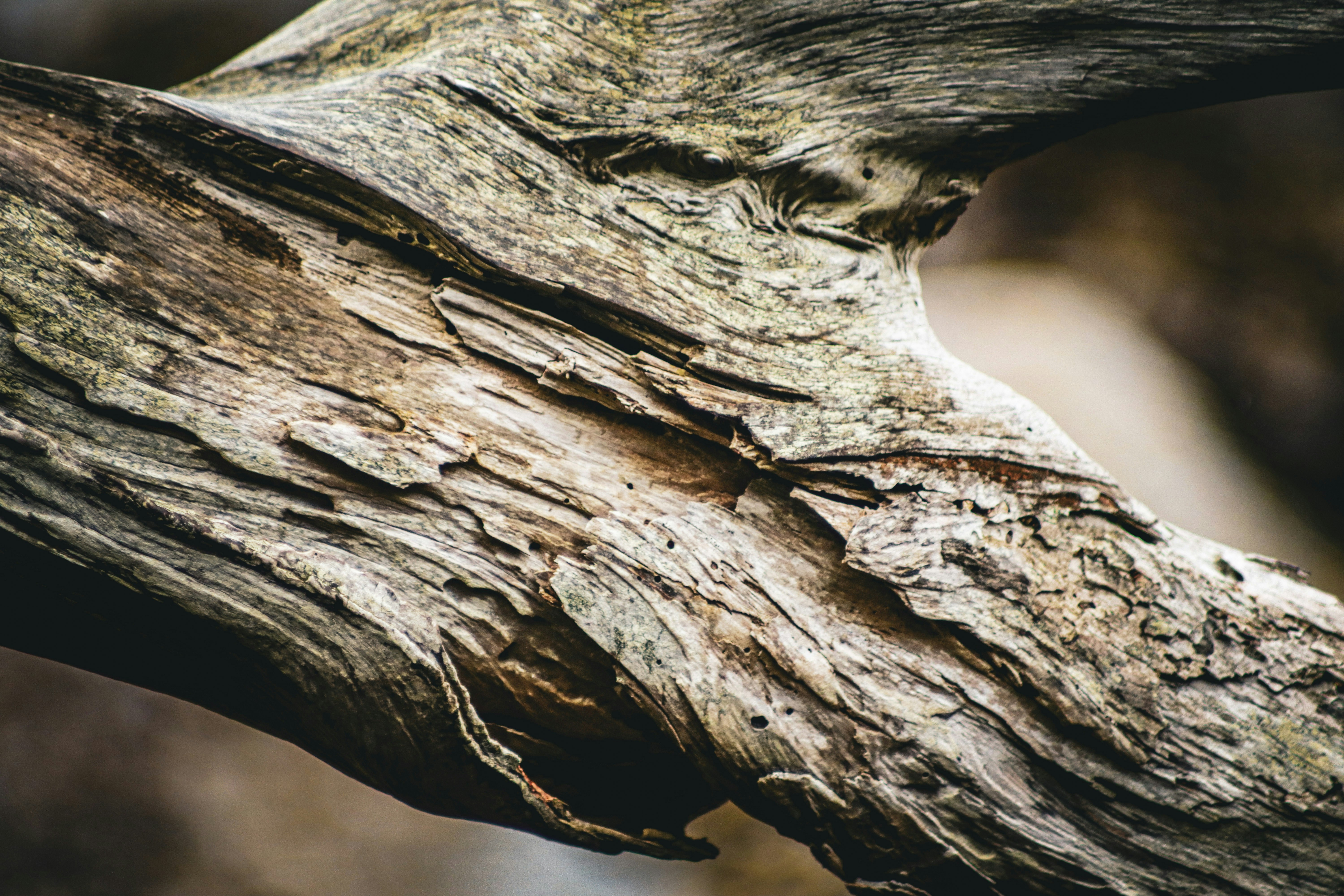 Photo by justbreakingstuff