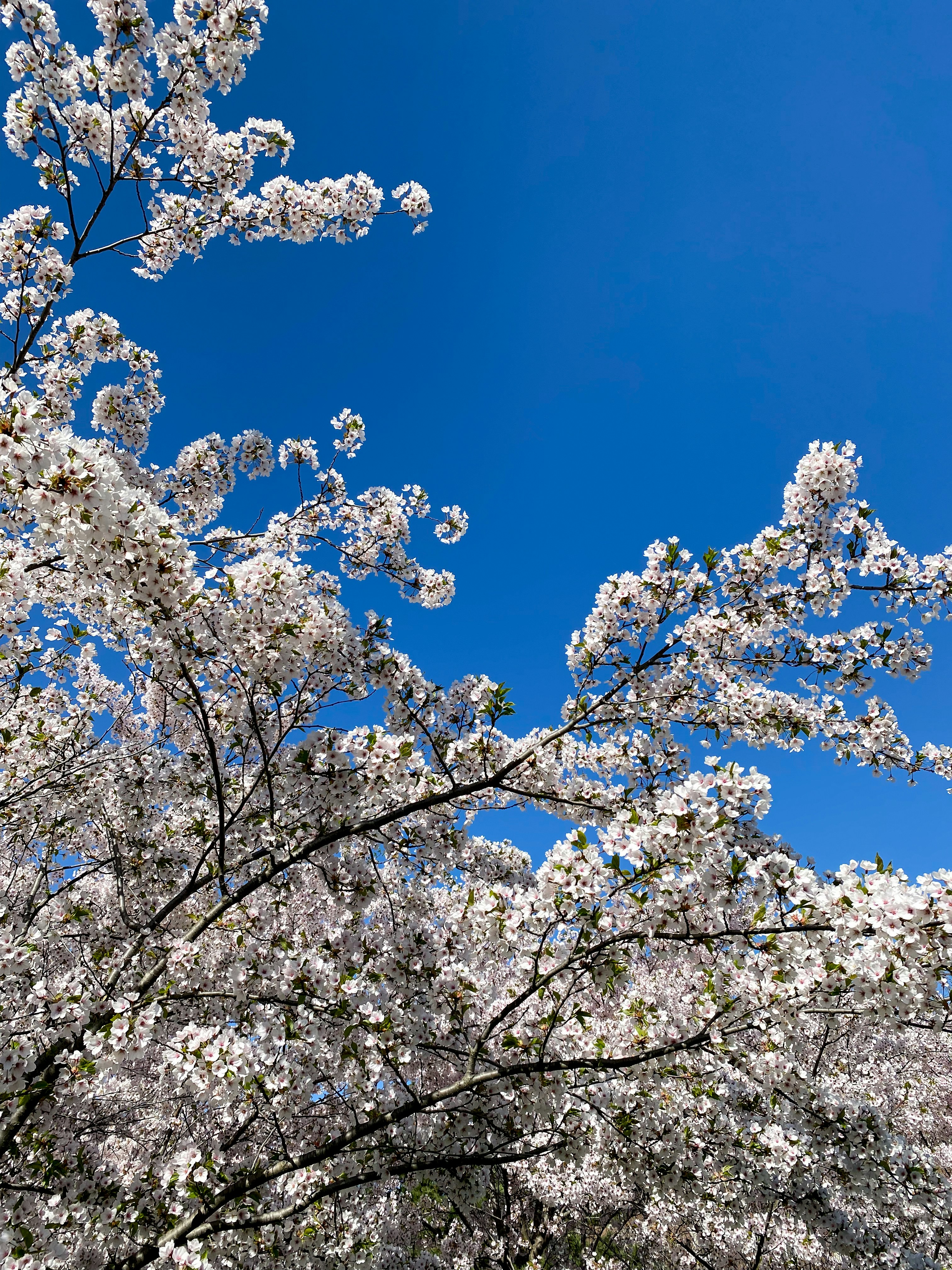 Photo by alexdonnachie