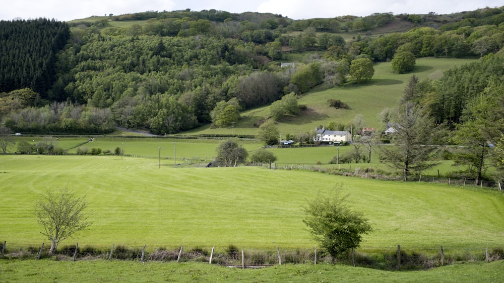 a grassy field with trees and a house in the distance