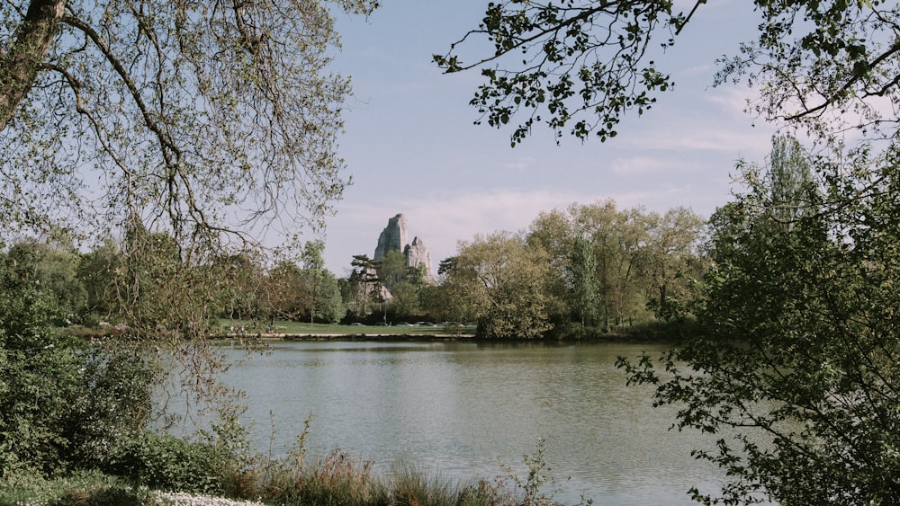 a body of water with trees around it