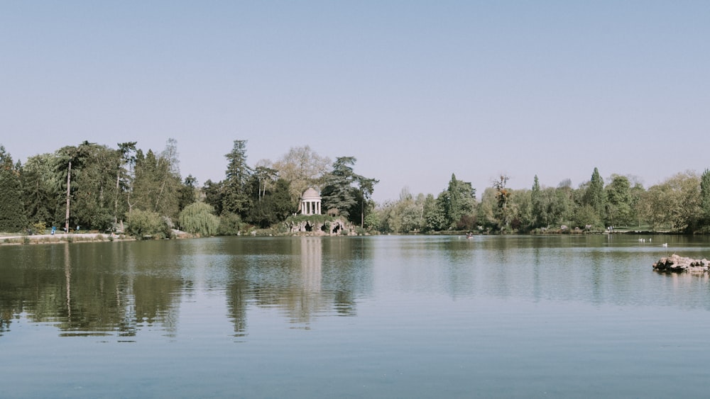 a body of water with trees around it