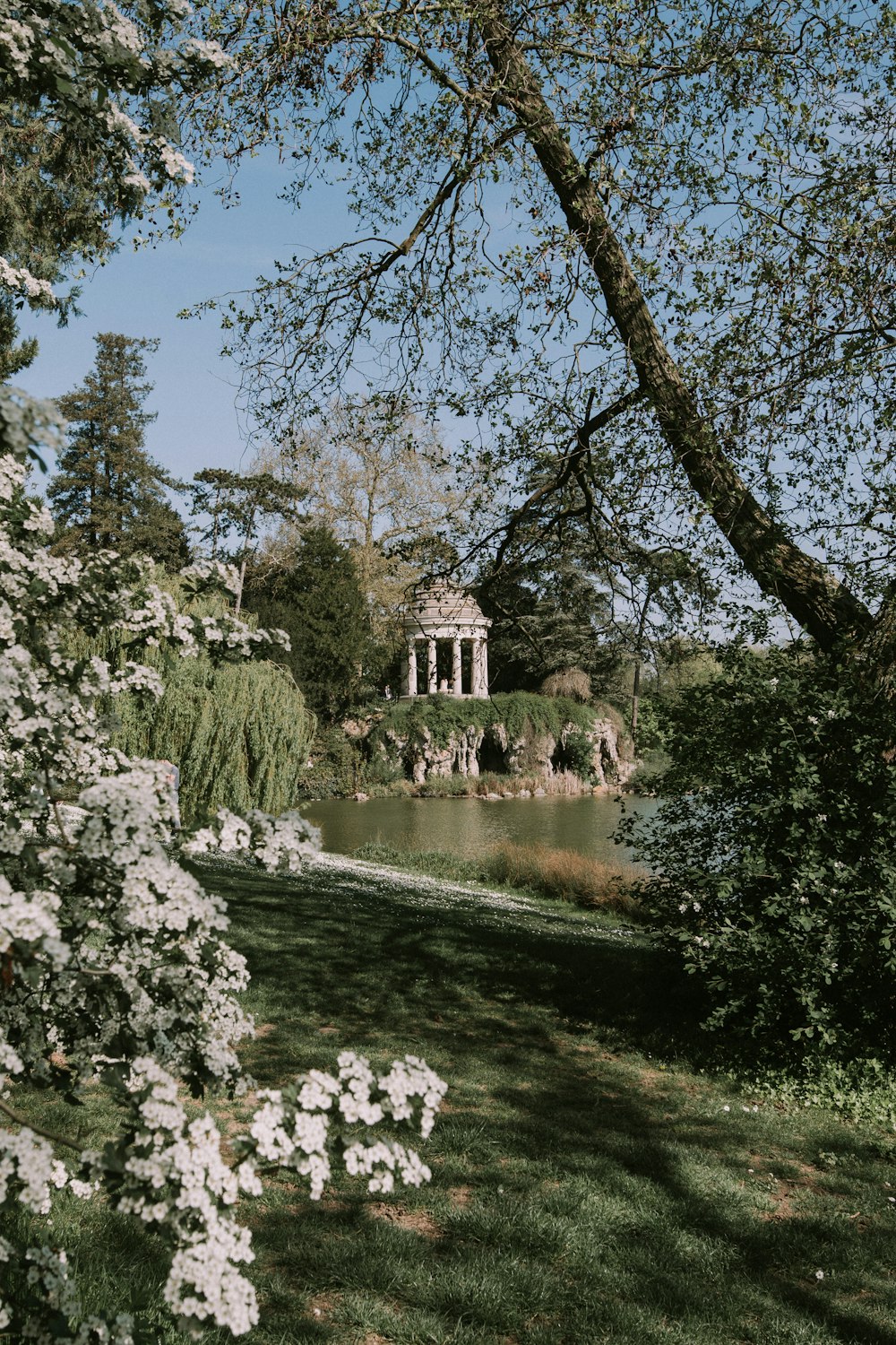 a path with flowers and trees on the side